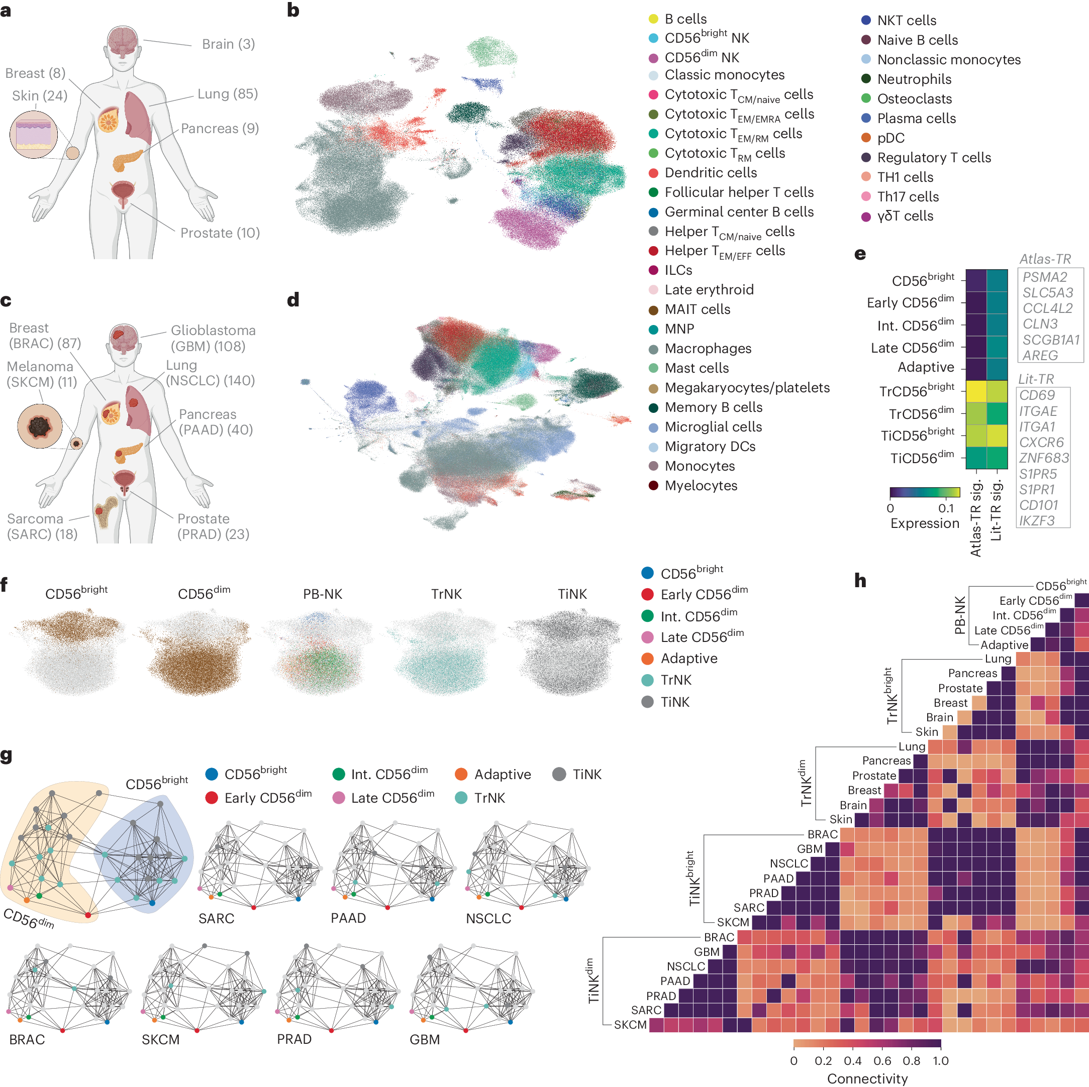 Fig. 3: Pan-cancer atlas of healthy tissue-resident and solid TiNK cells.