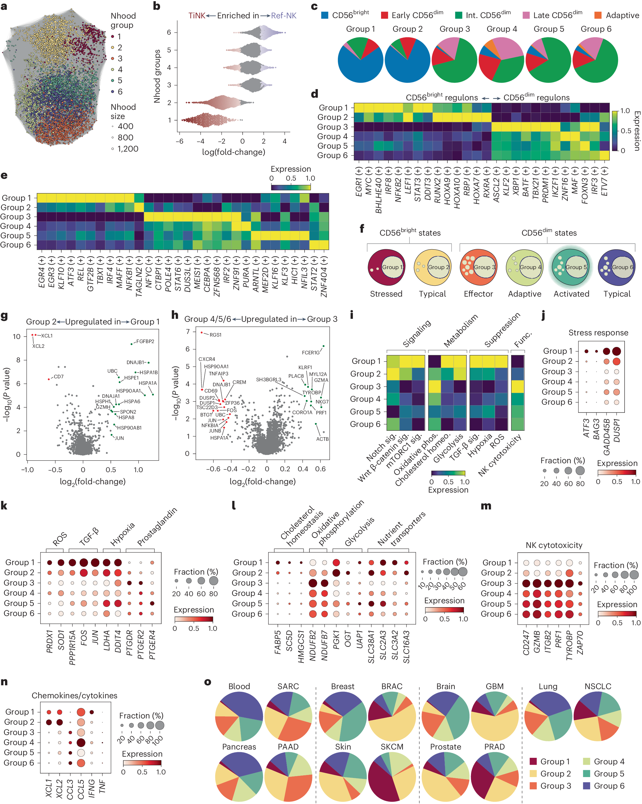 Fig. 5: Distinct cellular states of NK cells identified in pan-cancer atlas.