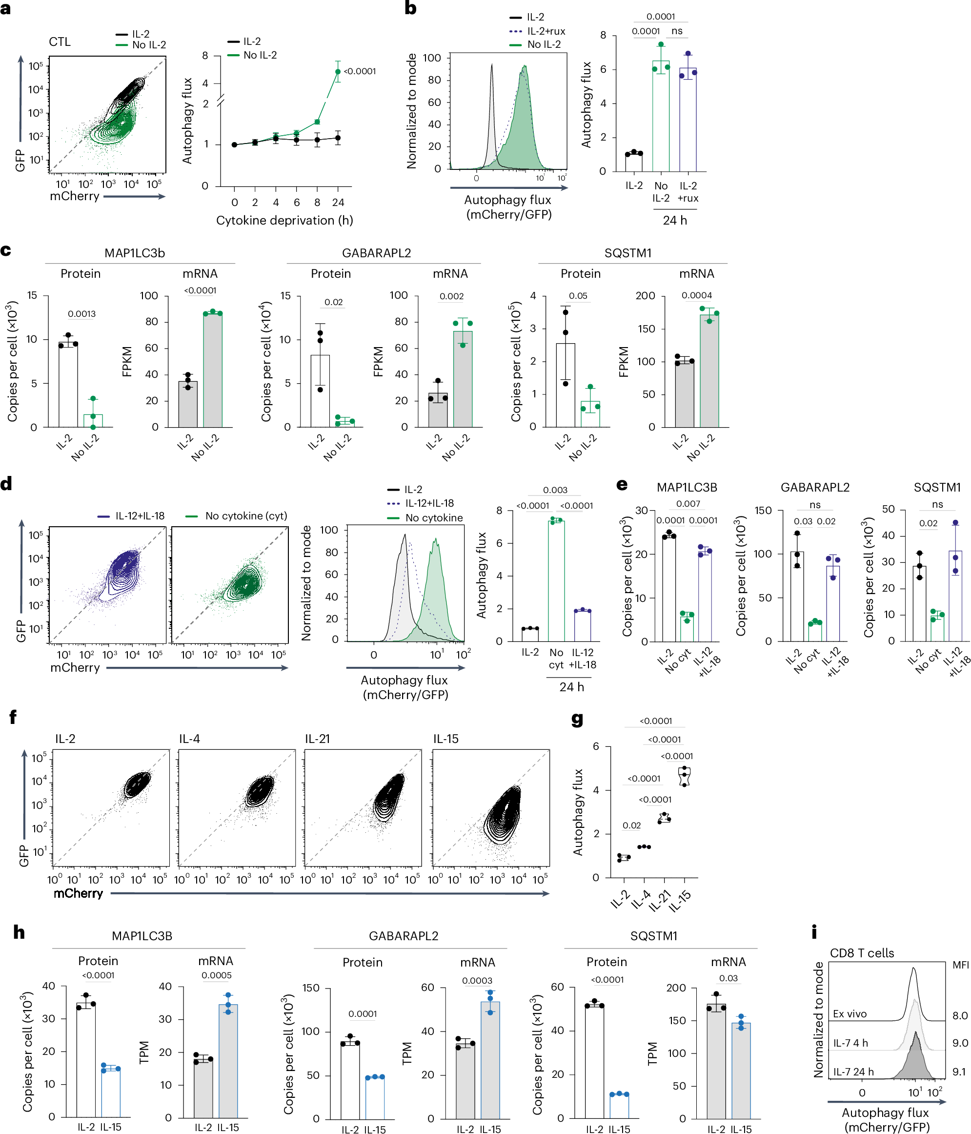 Fig. 2: Pro-inflammatory but not memory cytokines repress autophagy flux.