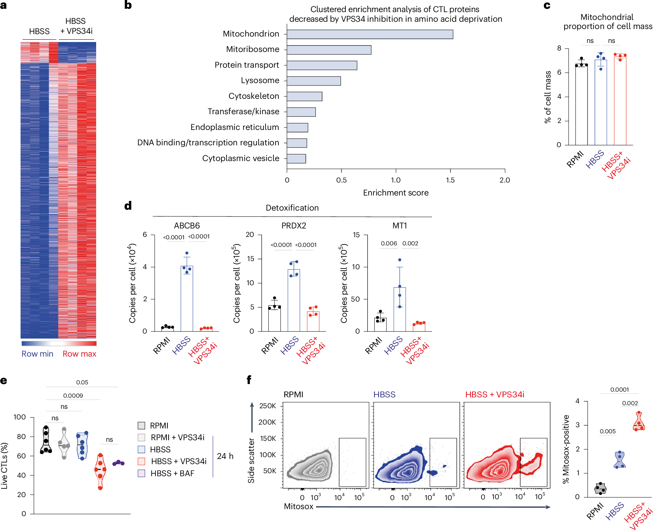 Fig. 7: Survival programs in amino-acid-starved CTLs depend on VPS34.
