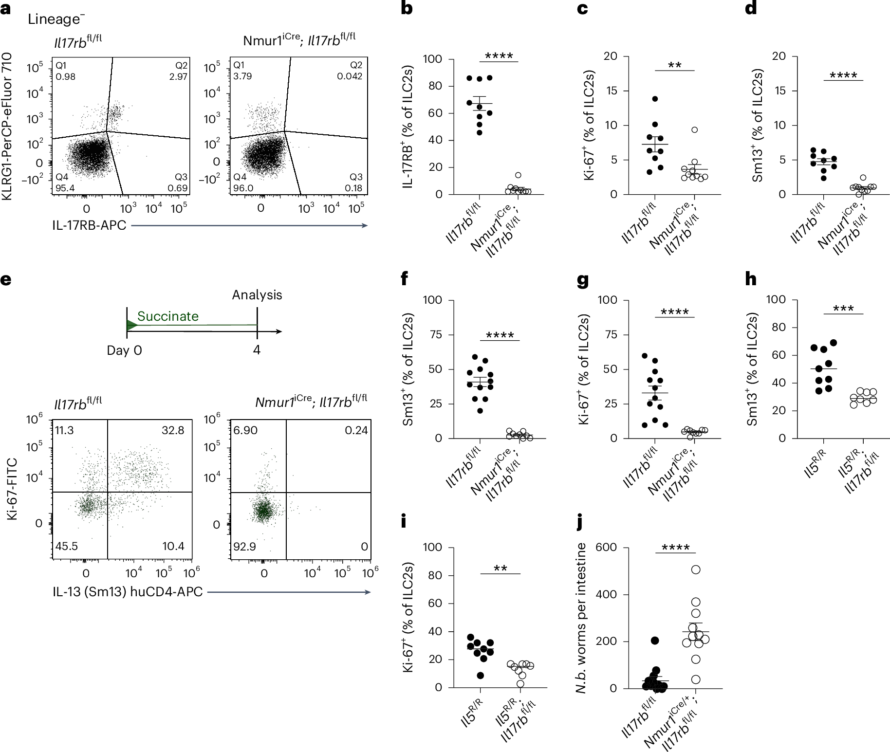 Fig. 1: Succinate-induced IL-25 activates ILC2s in an ILC2-intrinsic, IL-17RB-dependent manner.