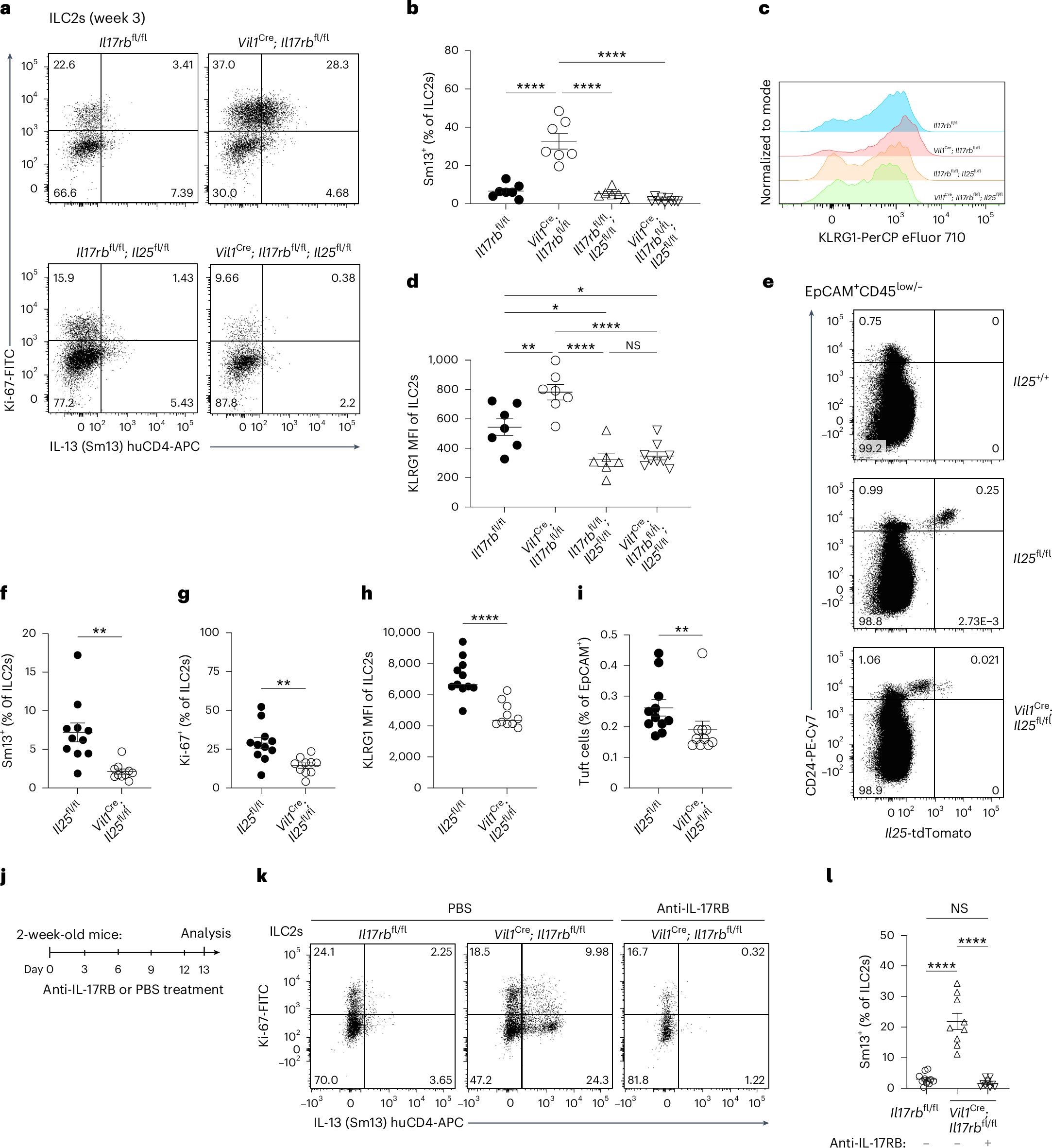 Fig. 6: Tuft cell-intrinsic IL-17RB regulates tonic IL-25 bioavailability.