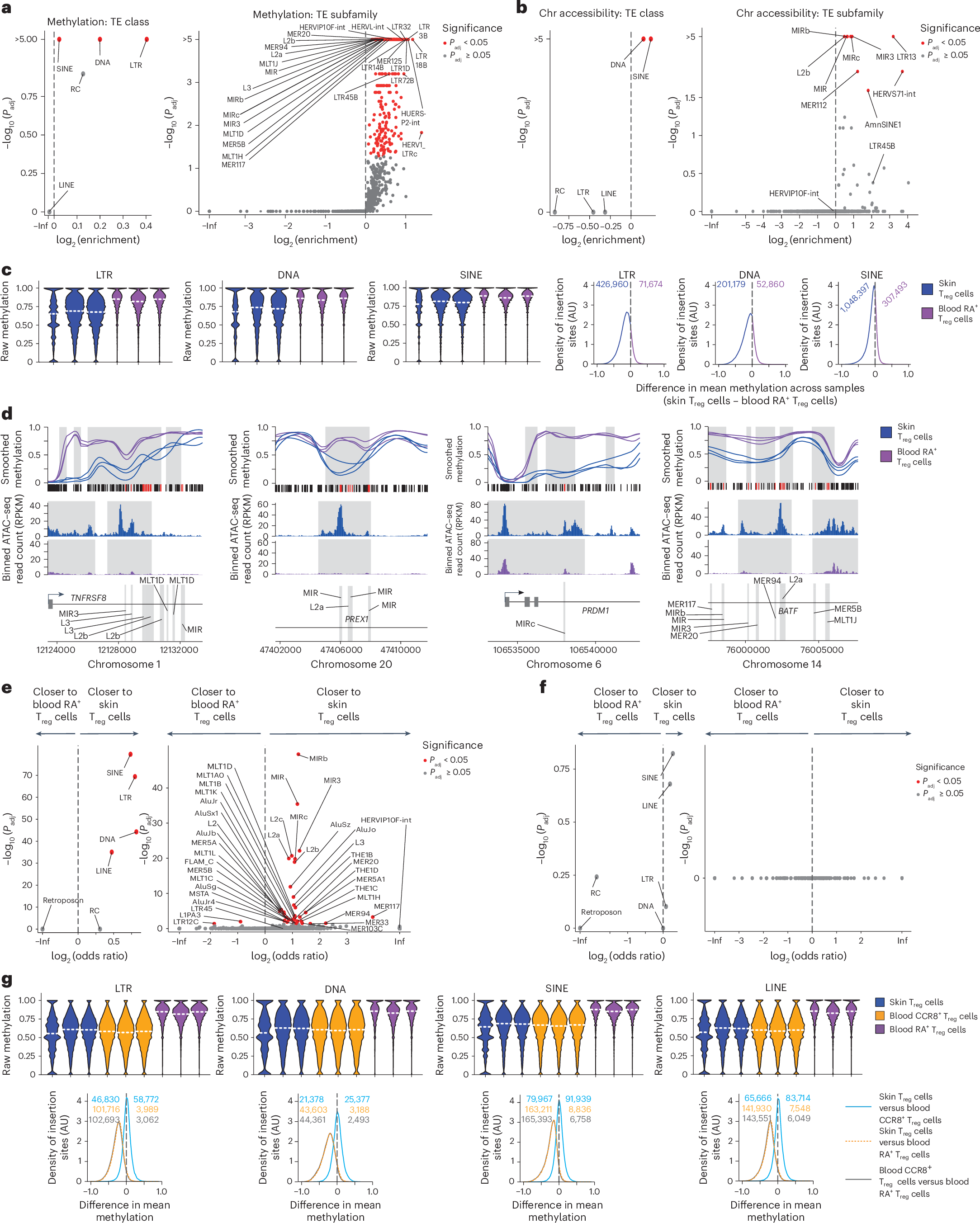 Fig. 6: TEs are hypomethylated in skin Treg cells and blood CCR8+ Treg cells.