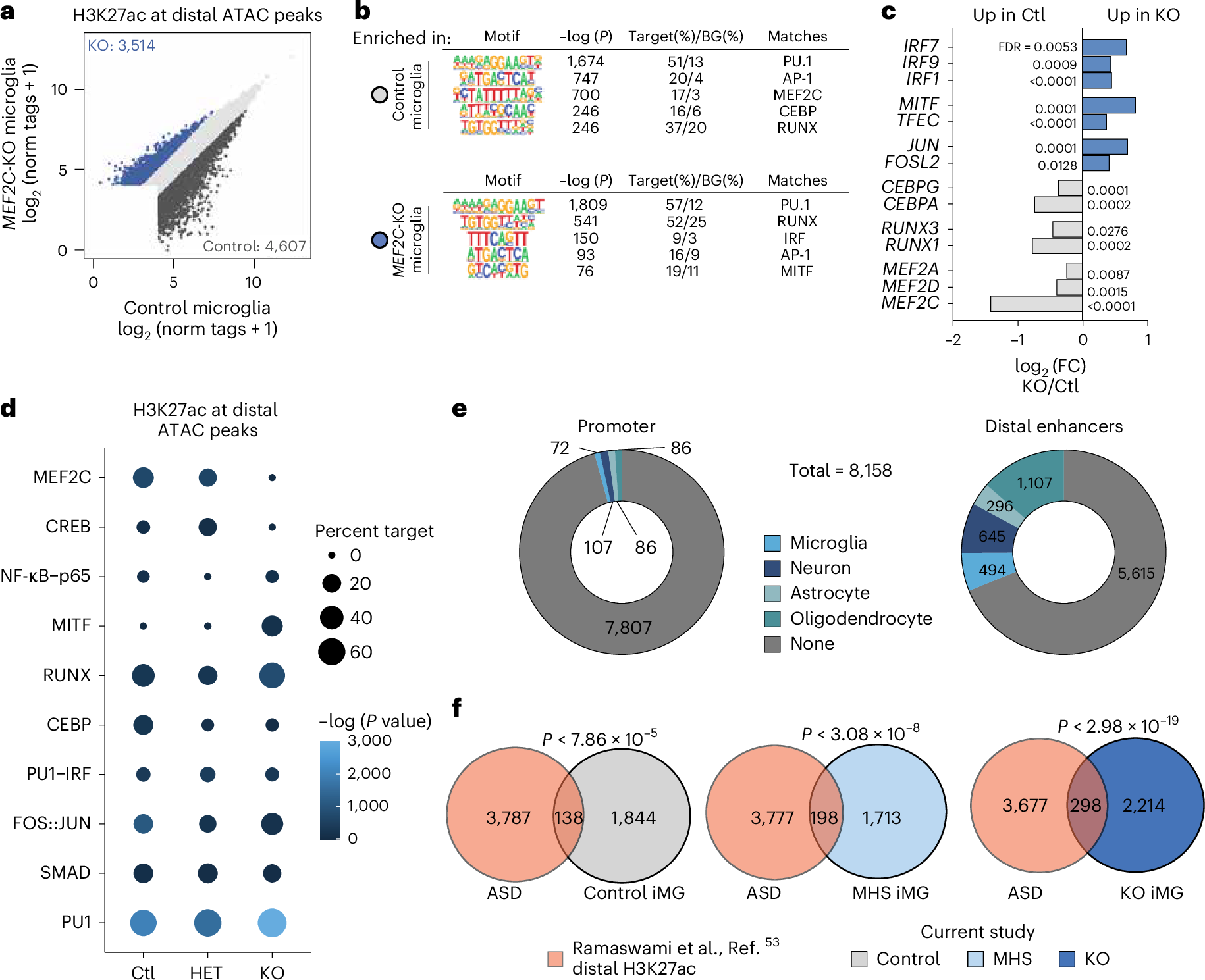 Fig. 5: Loss of MEF2C remodels the active enhancer landscape.