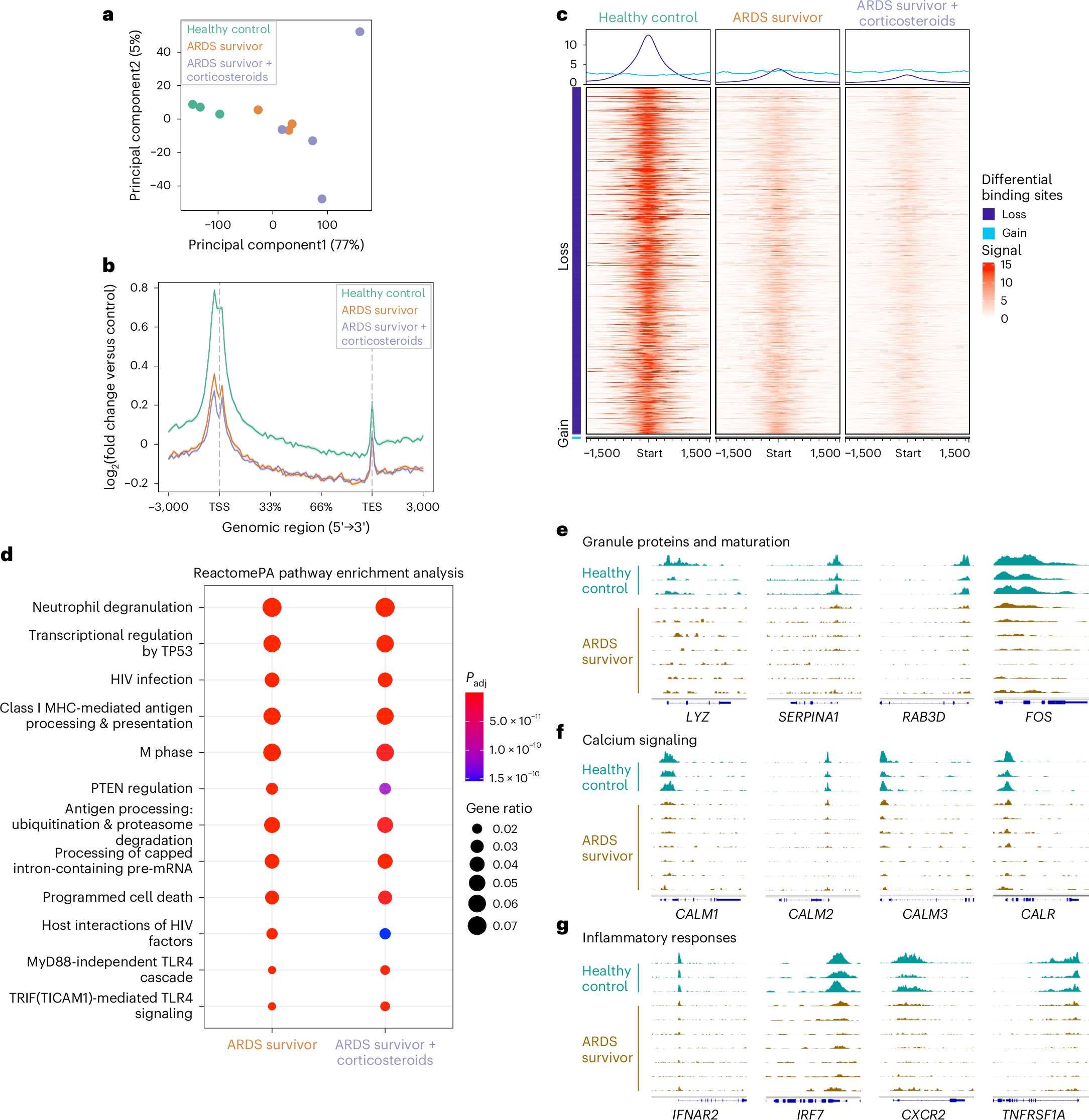 Fig. 3: Genes involved in core functions in circulating neutrophils express diminished H3K4me3 levels months following ARDS.