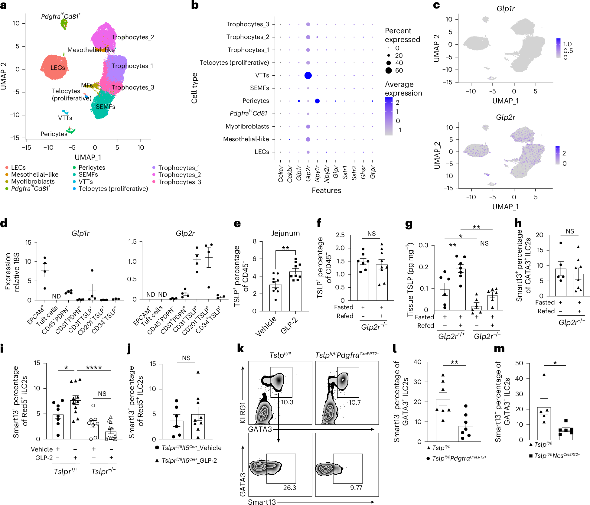 Fig. 3: GLP-2 drives ILC2 activation through TSLP signaling.
