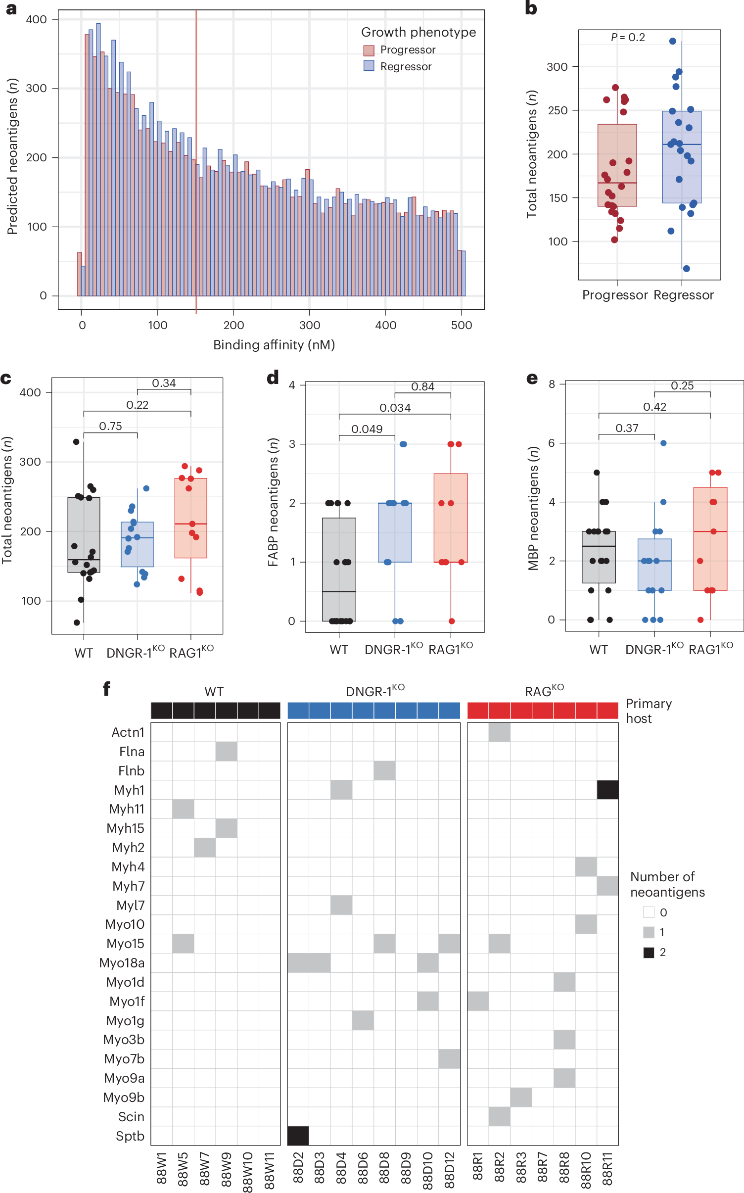Fig. 3: Mutated FABP-derived neoantigens are enriched in primary tumor lines from DNGR-1-deficient mice.