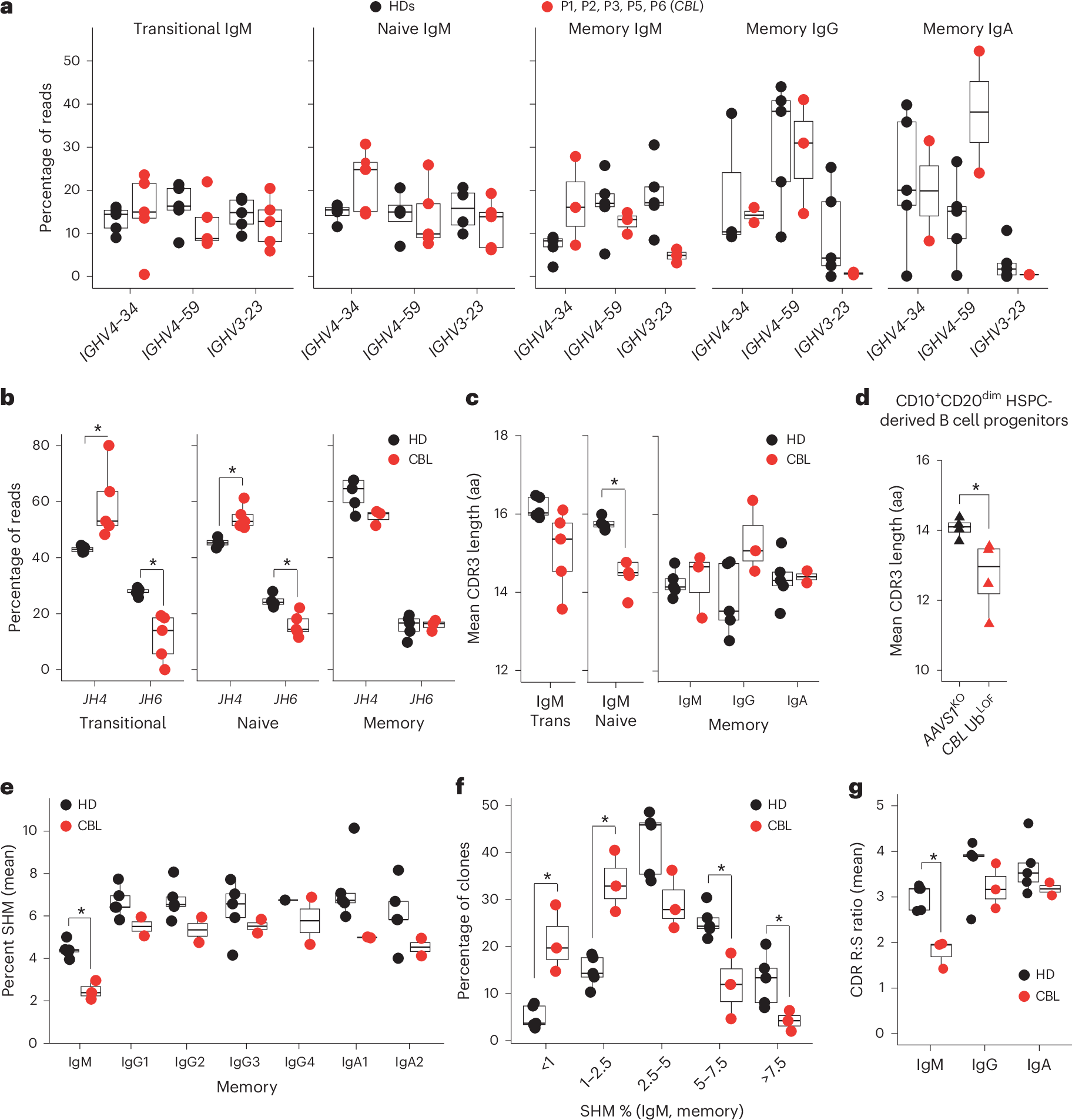 Fig. 6: BCR repertoire of individuals deficient in CBL reveals a defect in immunoglobulin V gene usage and somatic hypermutation.