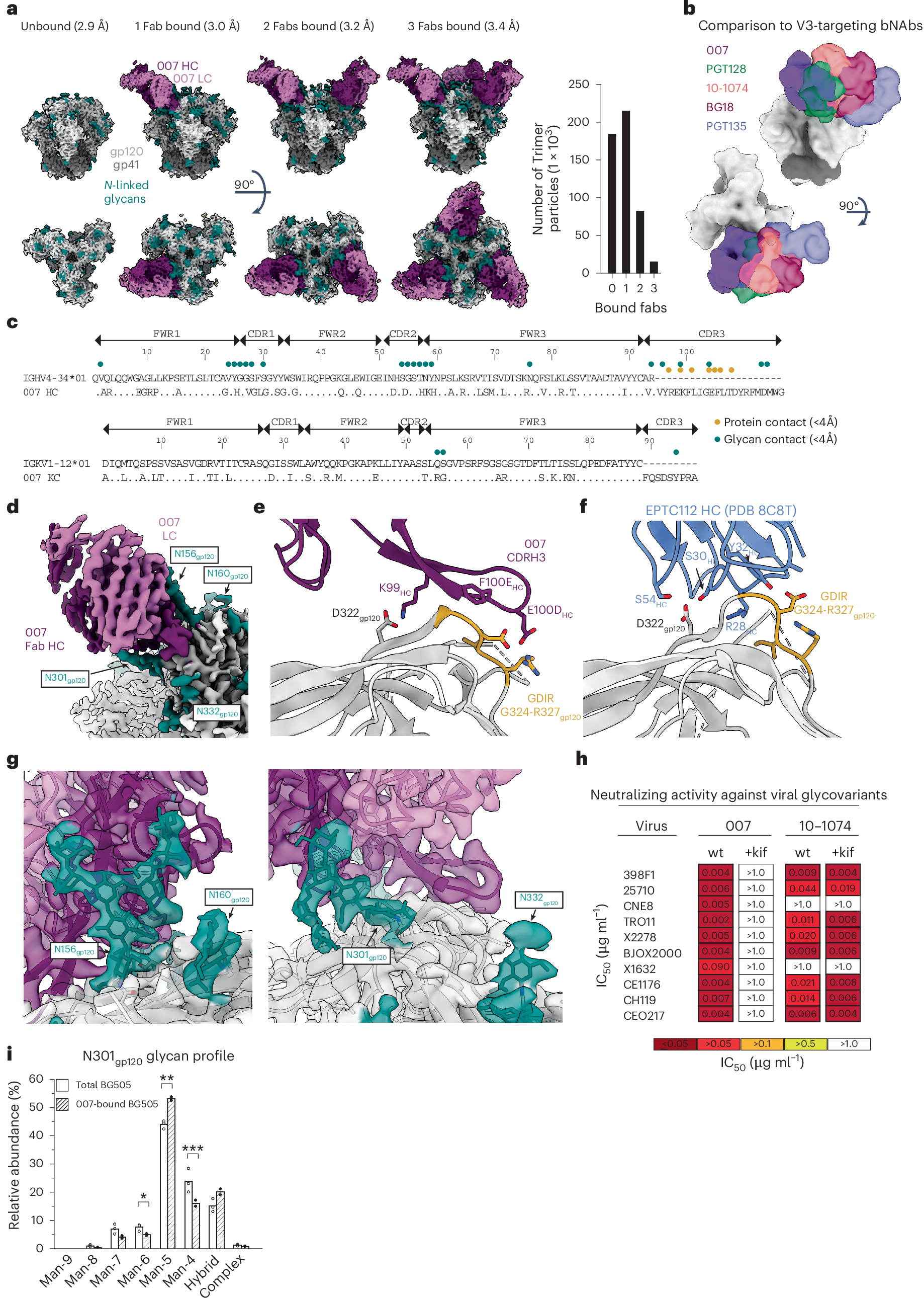Fig. 2: 007 recognizes an N332gp120 glycan-independent V3 epitope.