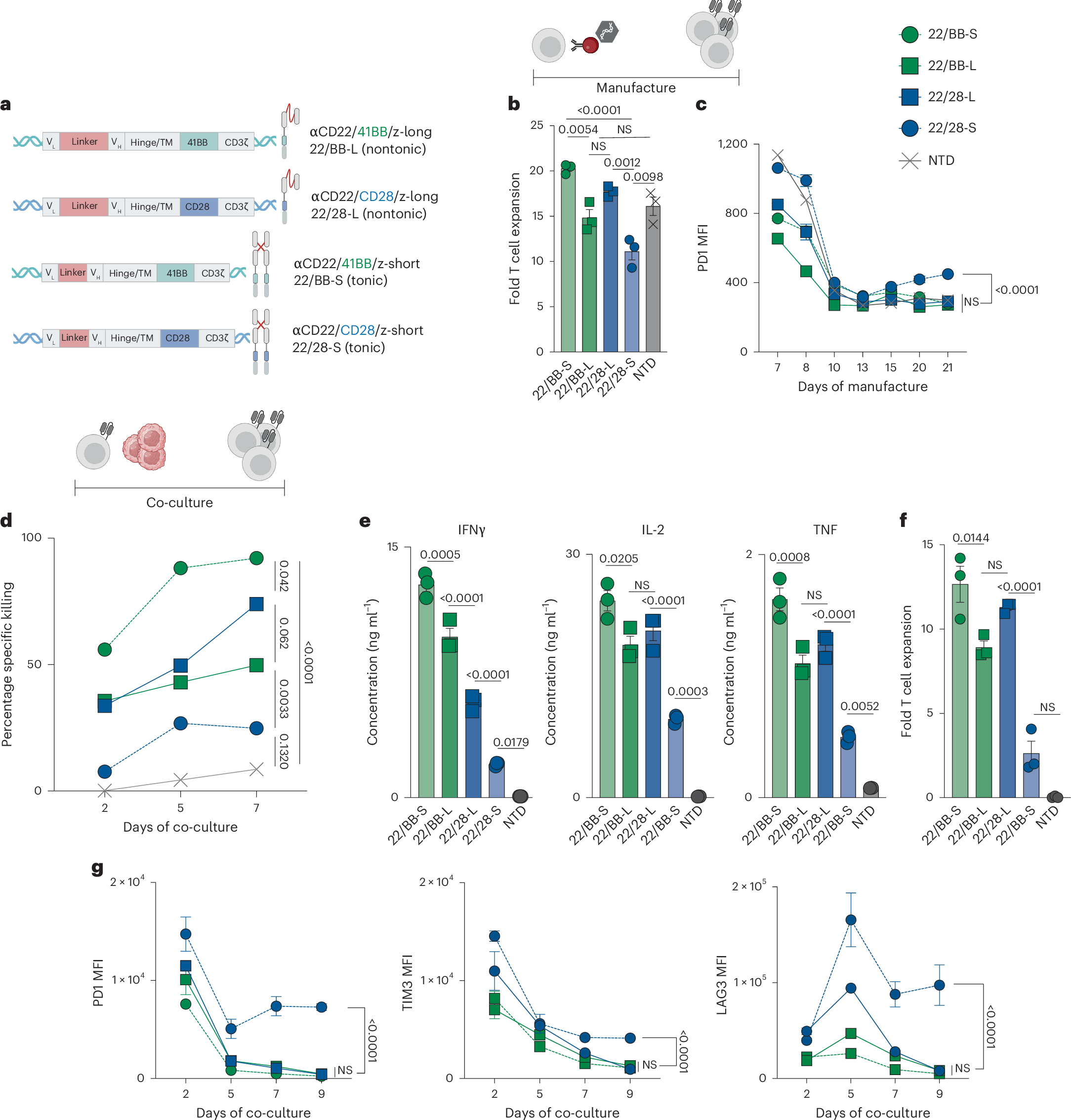 BACH2 regulates T cell lineage state to enhance CAR T cell function |  Nature Immunology