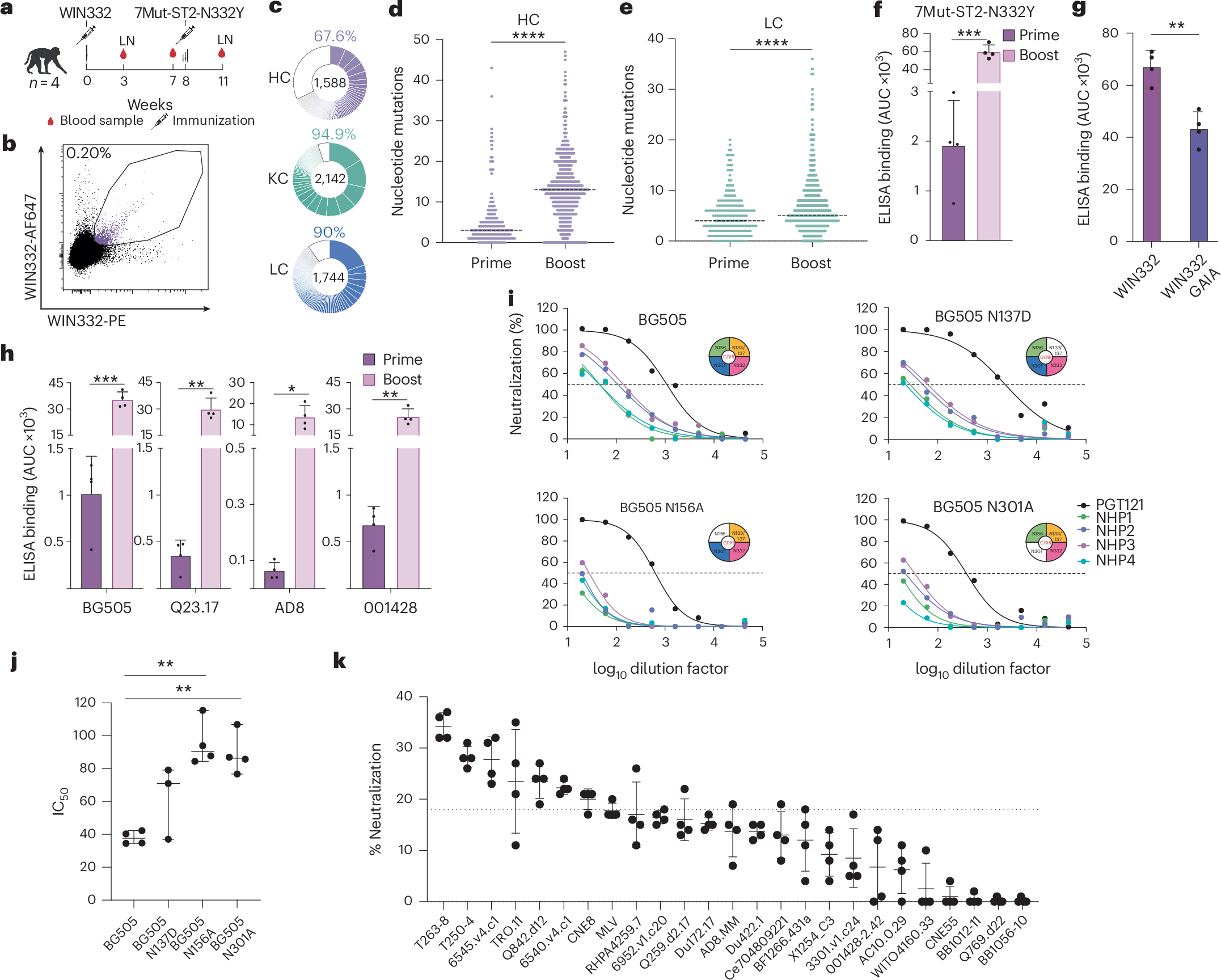 Fig. 6: Sequential immunization induces affinity maturation and boosts the autologous neutralization activity in the serum.