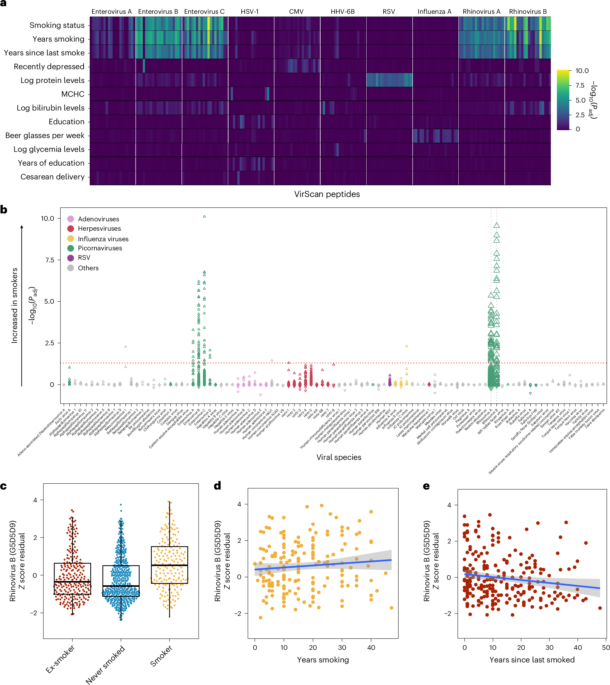 Fig. 4: Tobacco smoking elicits strong, reversible effects on antiviral antibody responses.