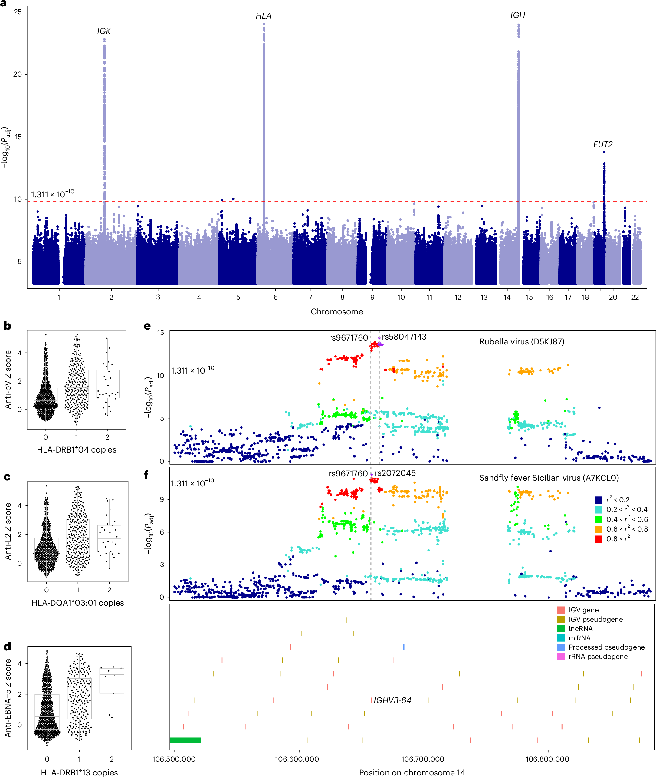 Fig. 5: GWAS of antibody reactivity against public peptides.