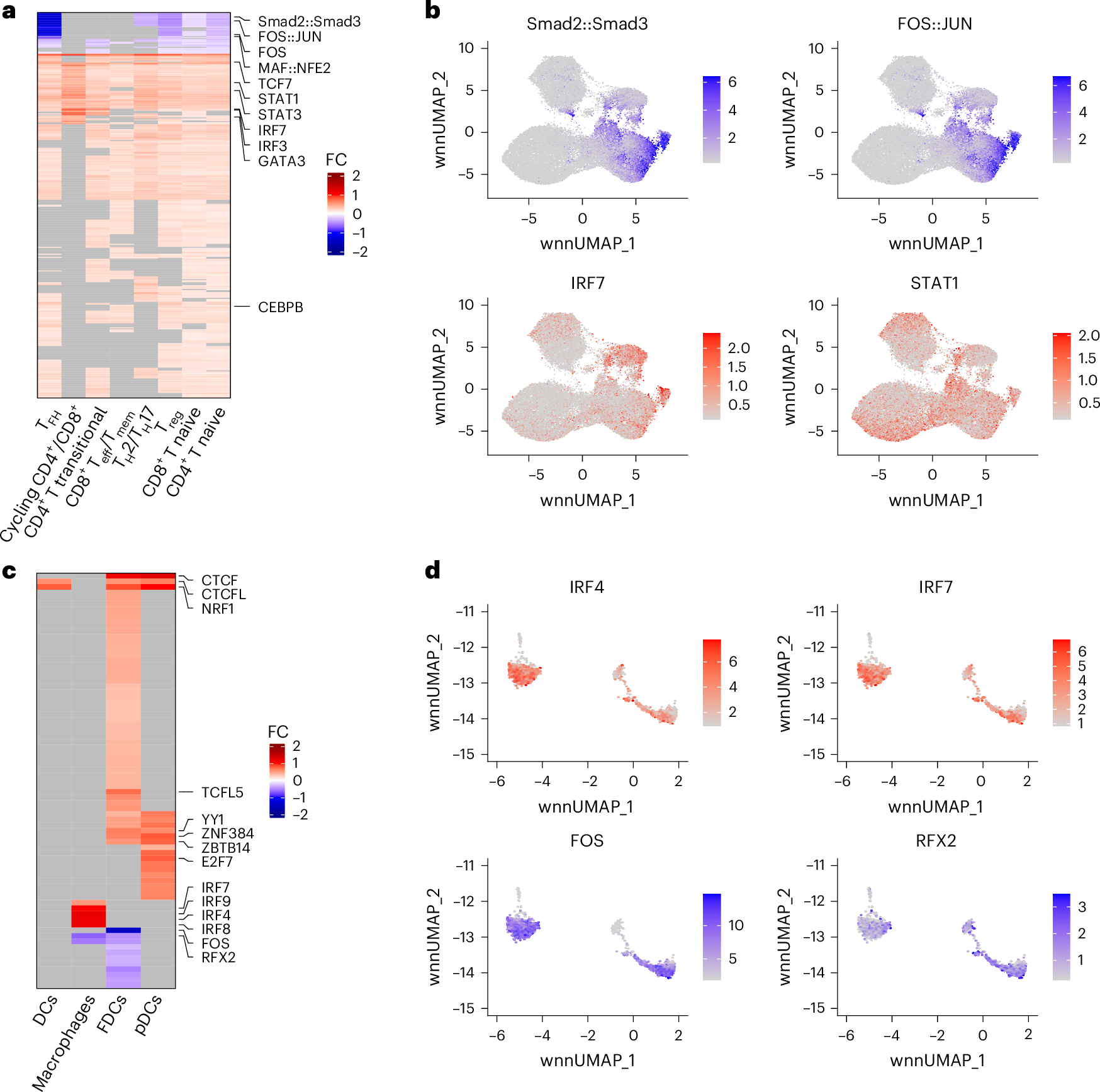 Fig. 5: Greater chromatin accessibility of IFN-associated transcription factors (STAT/IRF) binding sites and closed chromatin state of AP-1 family transcription factors binding sites pre-ATI is associated with lower CA-vDNA levels post-ATI.