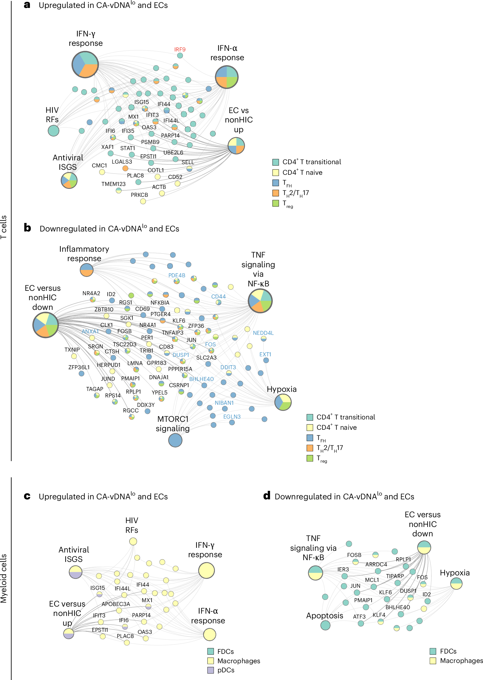 Fig. 6: Overlap of gene expression signatures between HIV elite controllers and CA-vDNAlo RMs.