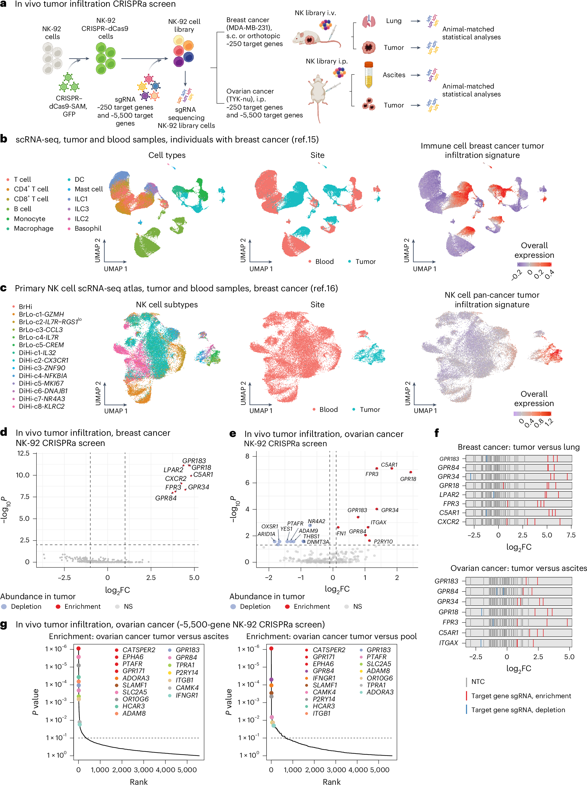 Fig. 1: Metabolite-sensing GPCRs are top hits in tumor infiltration NK-92 CRISPRa screens.