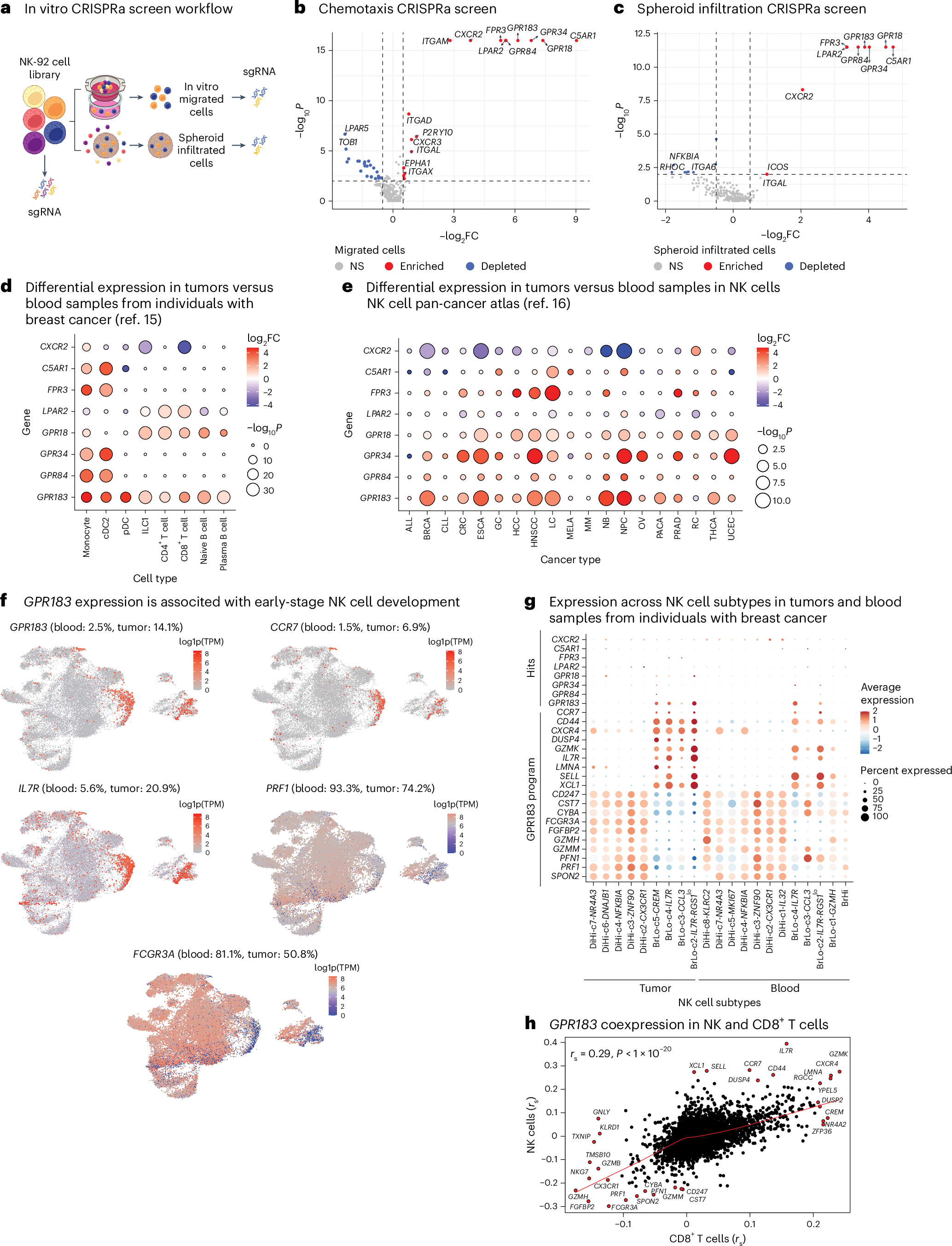 Fig. 2: thGPRs mobilize NK cells to cancer cell factors and spheroids and mark specific types of tumor-infiltrating cells.
