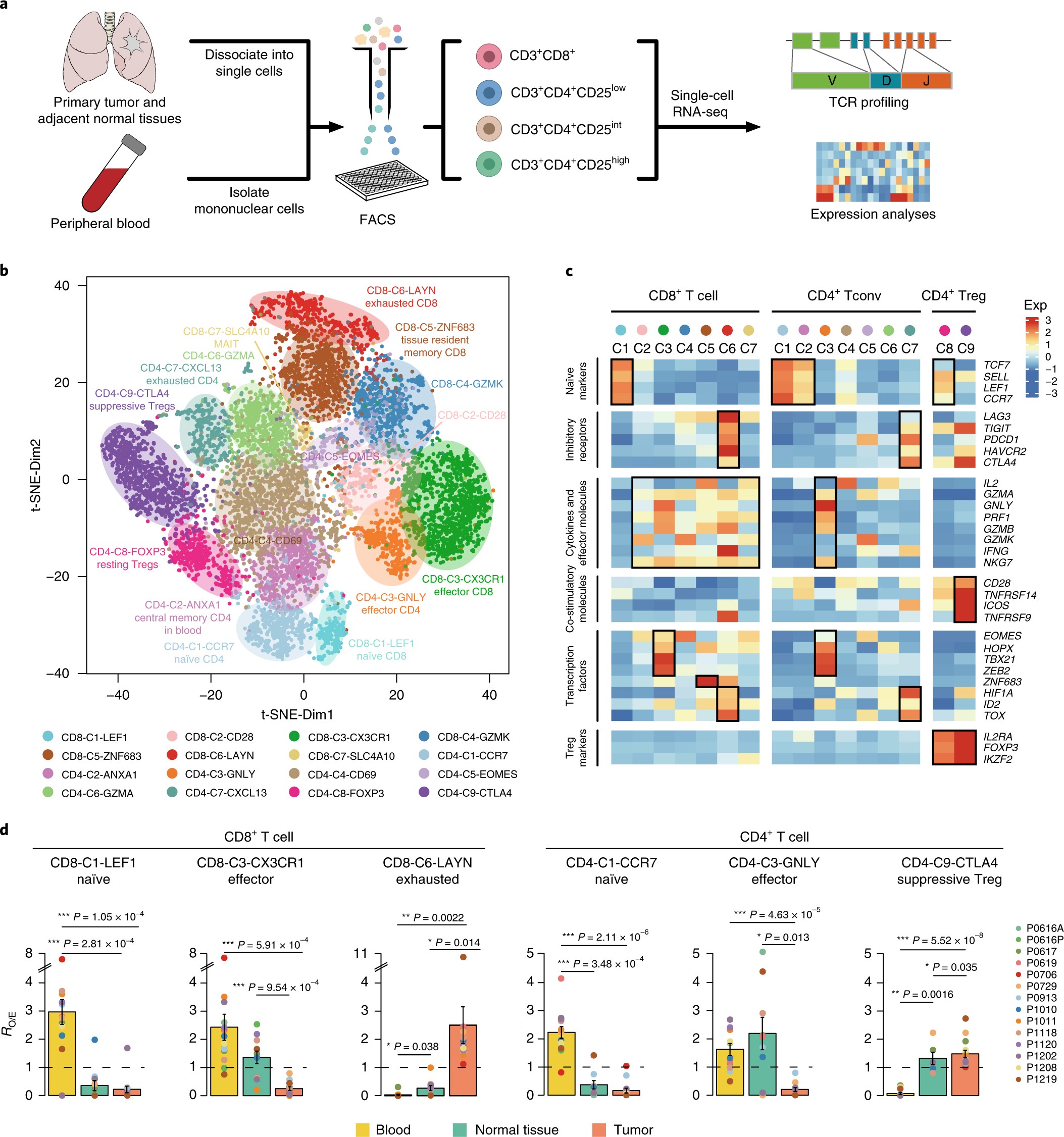 Global characterization of T cells in non small cell lung cancer by single cell sequencing