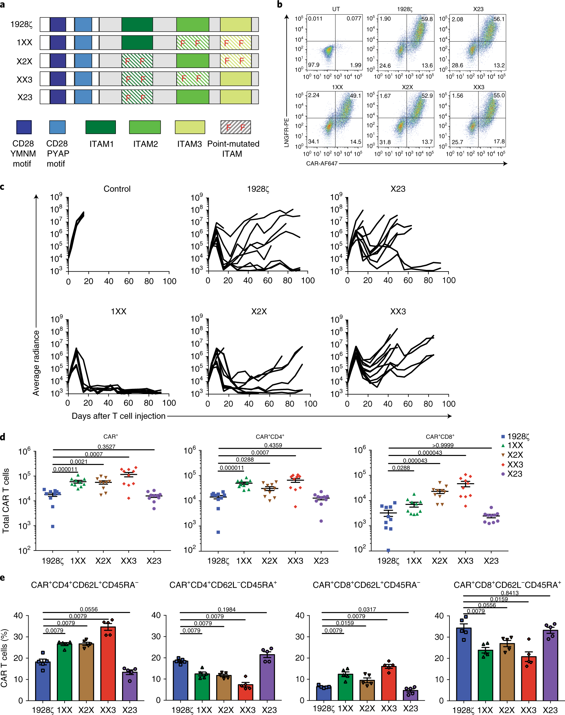 Calibration Of Car Activation Potential Directs Alternative T Cell