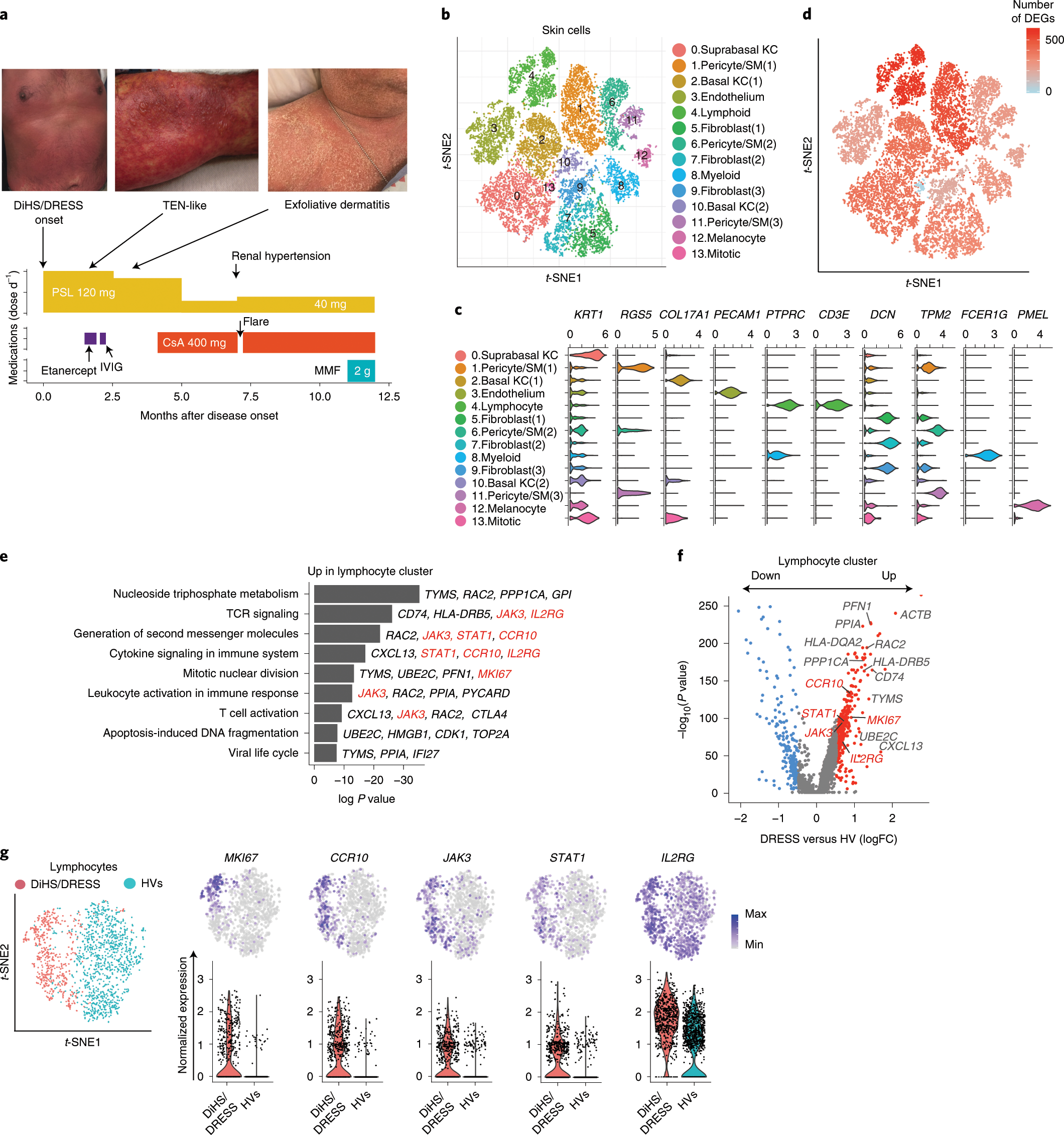 Targeted Therapy Guided By Single Cell Transcriptomic Analysis In