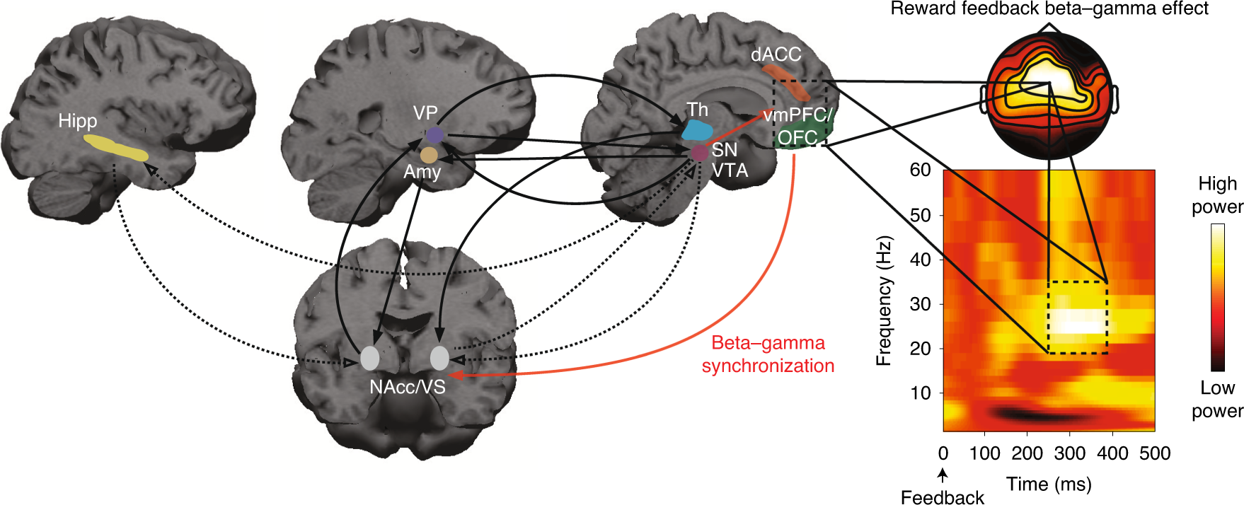 High-frequency neuromodulation improves obsessive–compulsive behavior |  Nature Medicine