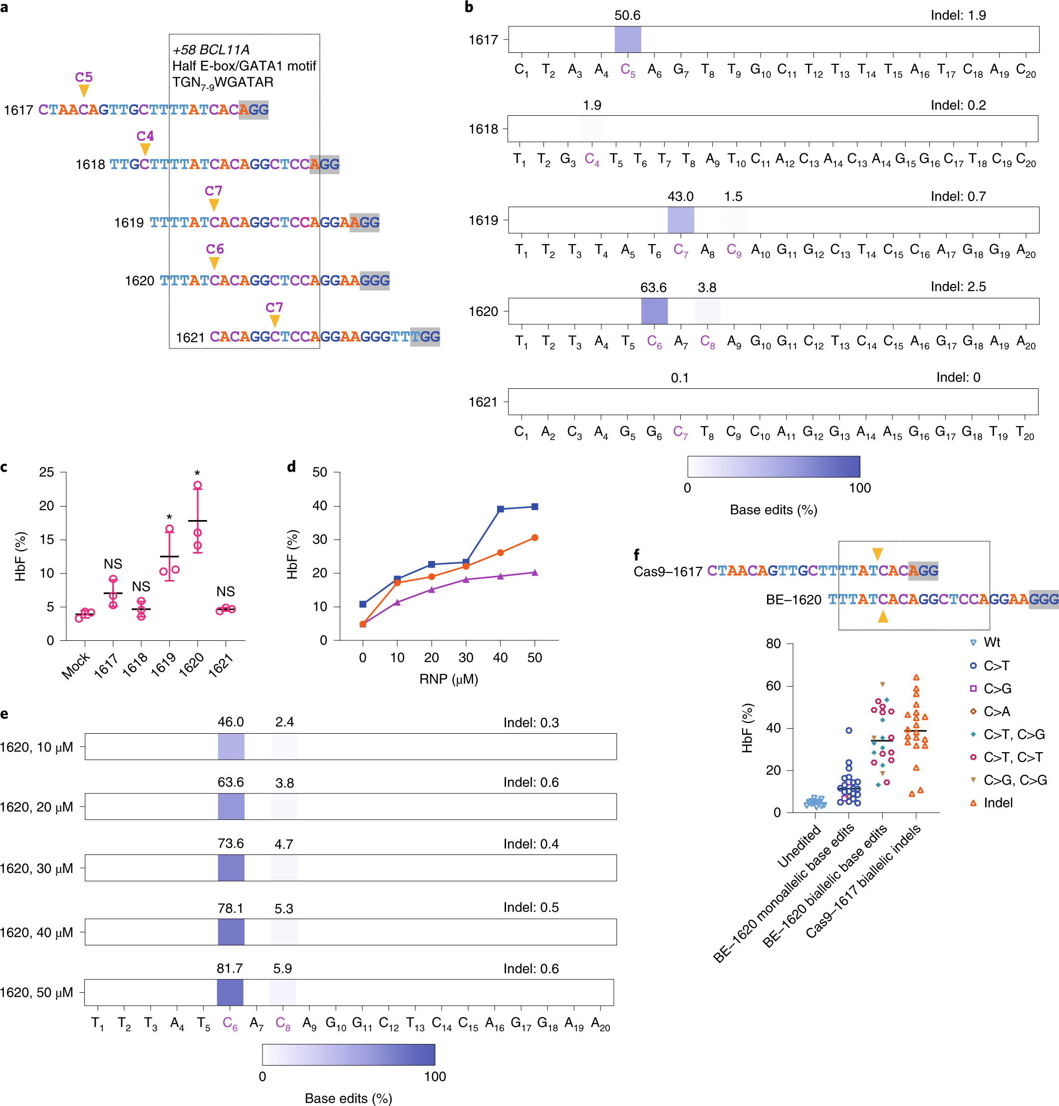 Therapeutic Base Editing Of Human Hematopoietic Stem Cells Nature Medicine Therapeutic Base Editing Of Human Hematopoietic Stem Cells Nature Medicine