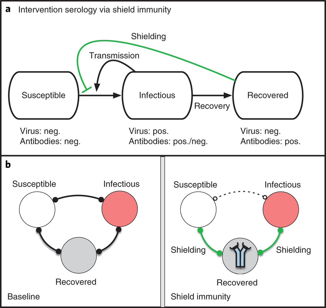 SeroXen Mechanisms: Exploring Distribution, Risks, and Impact