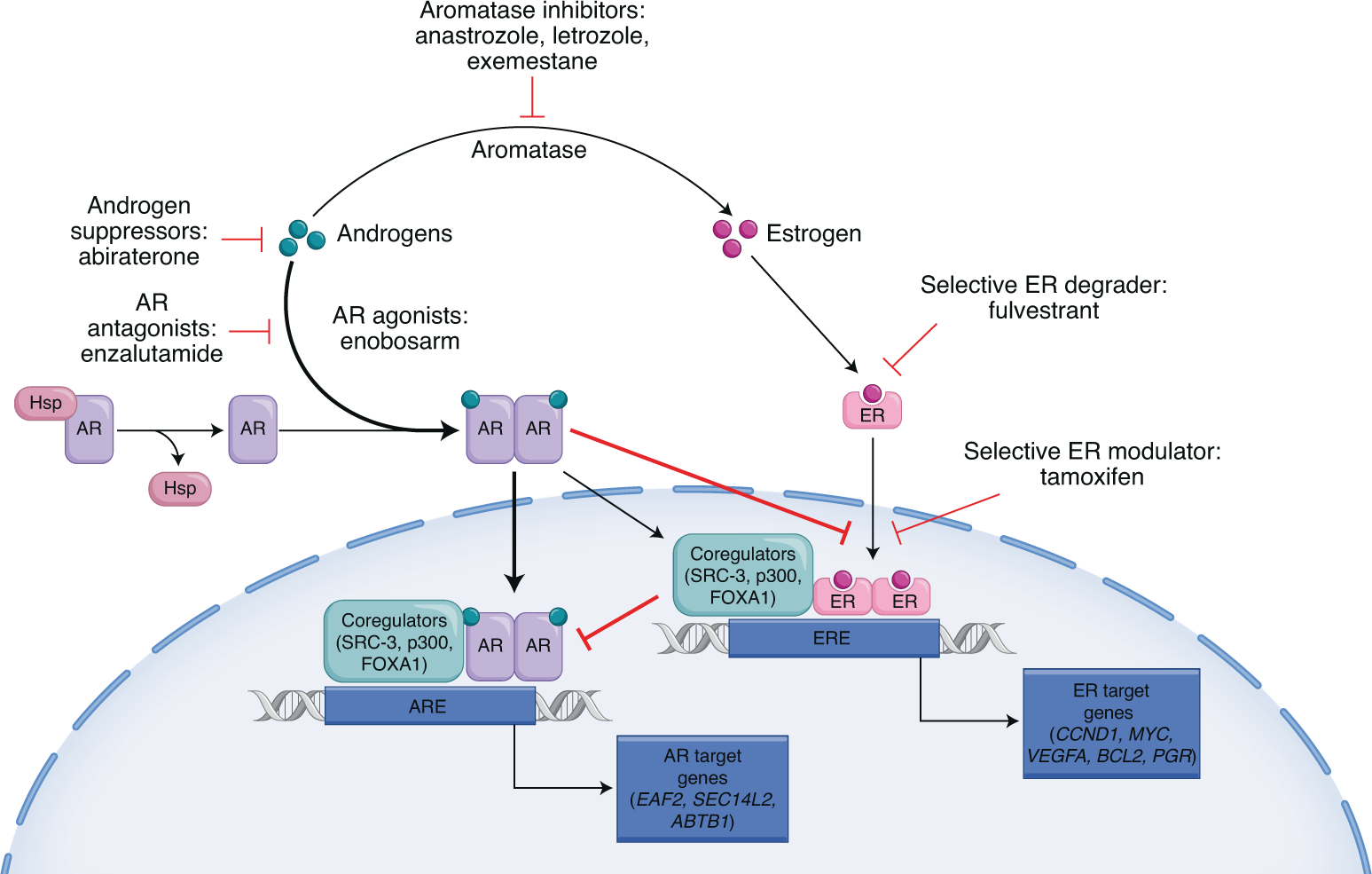 how much acetyl l carnitine should i take neuropathy Acetyl-l-Carnitine in the Treatment of Peripheral Neuropathies: A Narrative  Review | Pain and Therapy