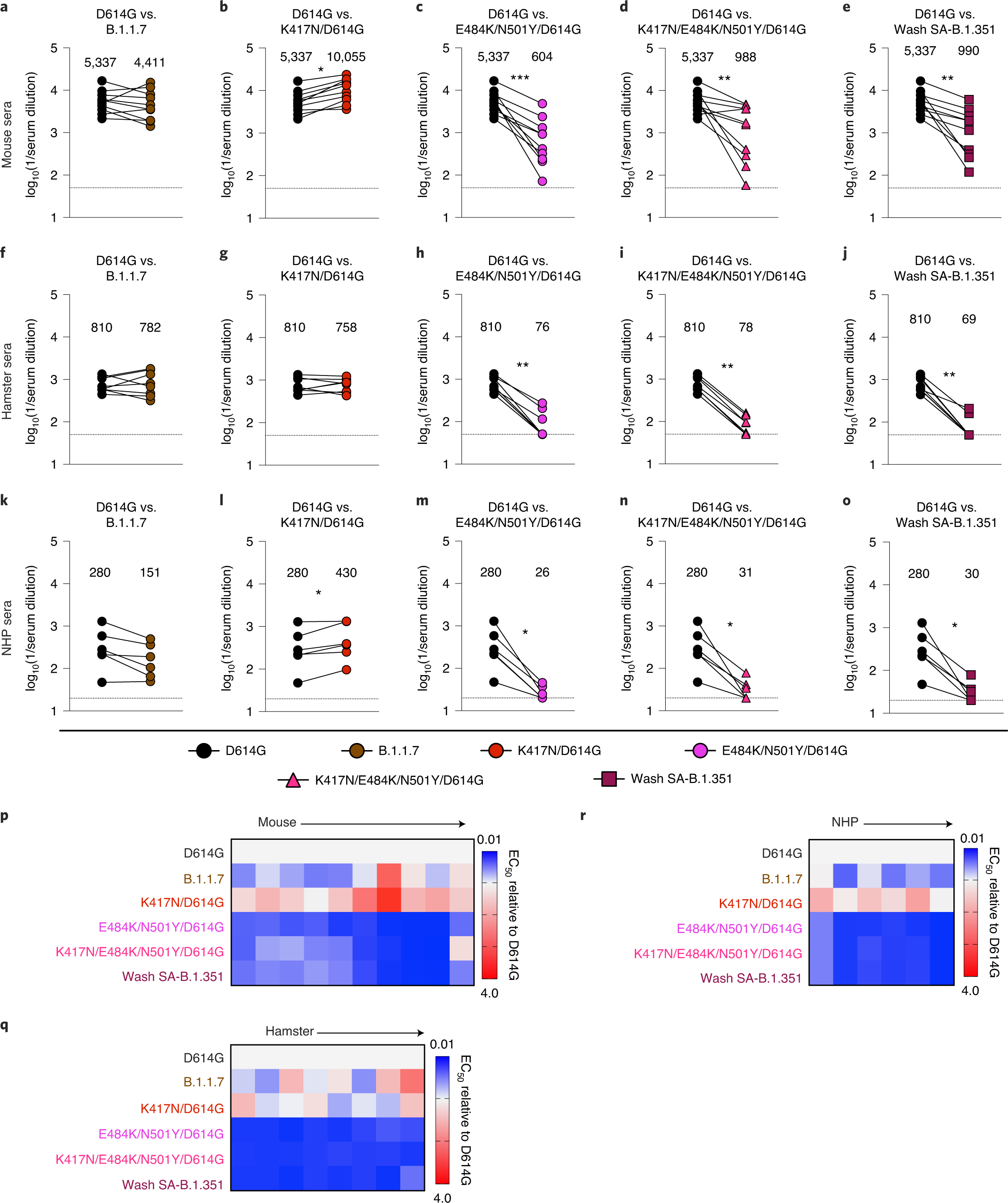 Fig. 3: Resistance of SARS-CoV-2 viral variants to neutralization by vaccine-induced serum derived from mice, hamsters and NHPs.