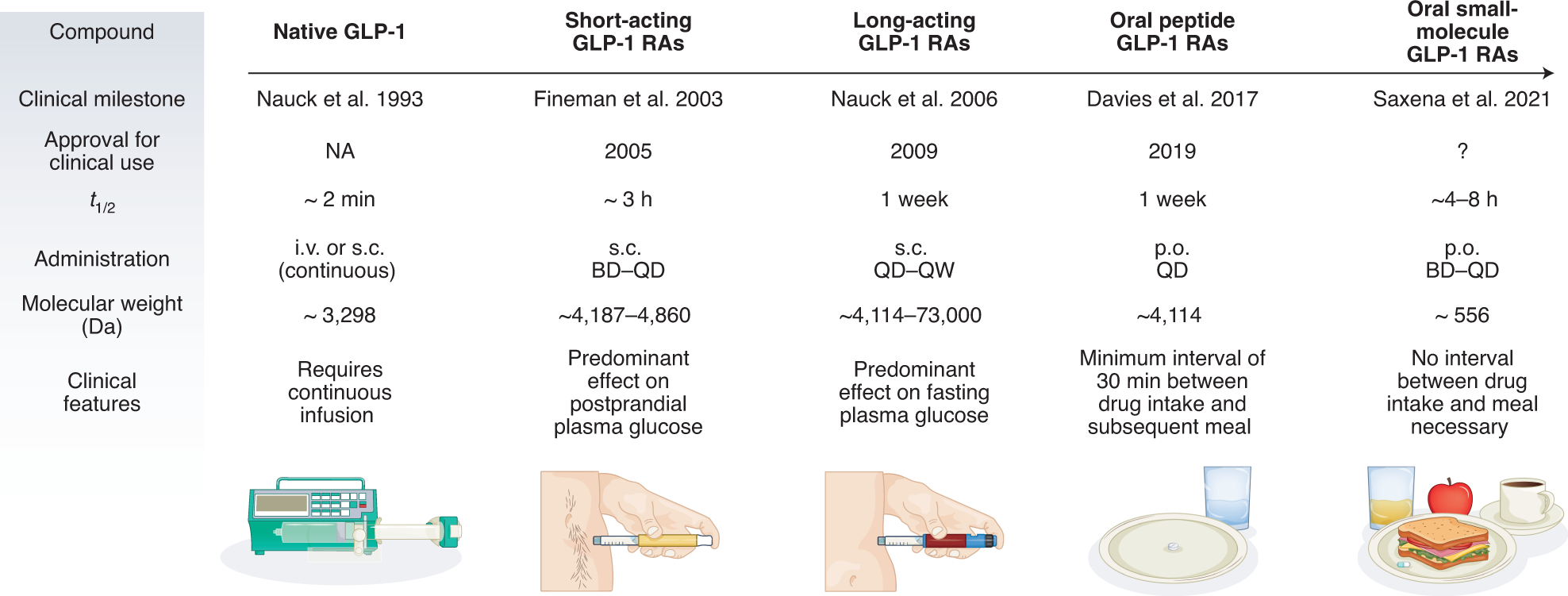 history of glp 1 agonists Another milestone in the evolution of GLP-1-based diabetes therapies