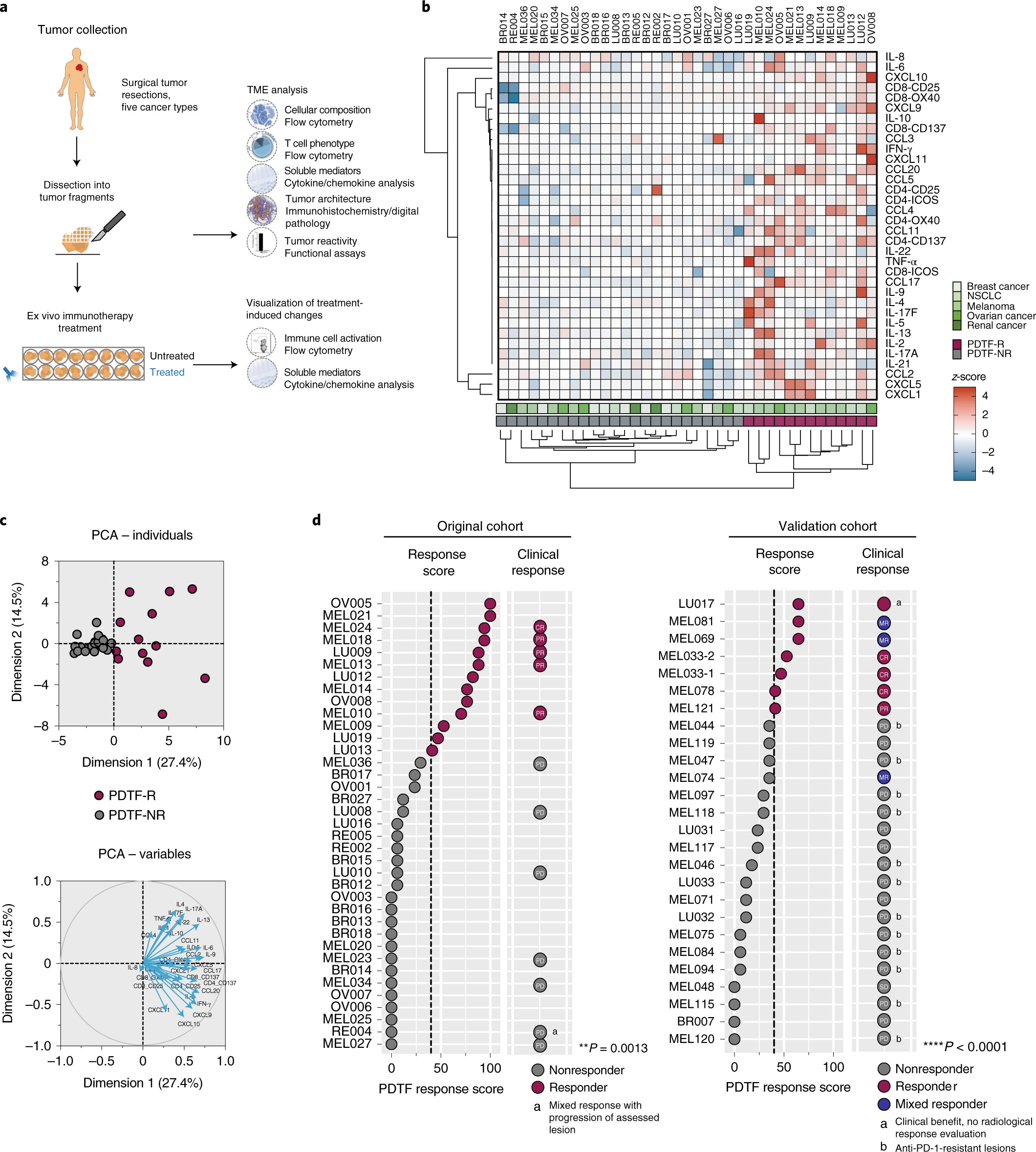 An Ex Vivo Tumor Fragment Platform To Dissect Response To Pd 1 Blockade In Cancer Nature Medicine An Ex Vivo Tumor Fragment Platform To Dissect Response To Pd 1 Blockade In Cancer Nature Medicine