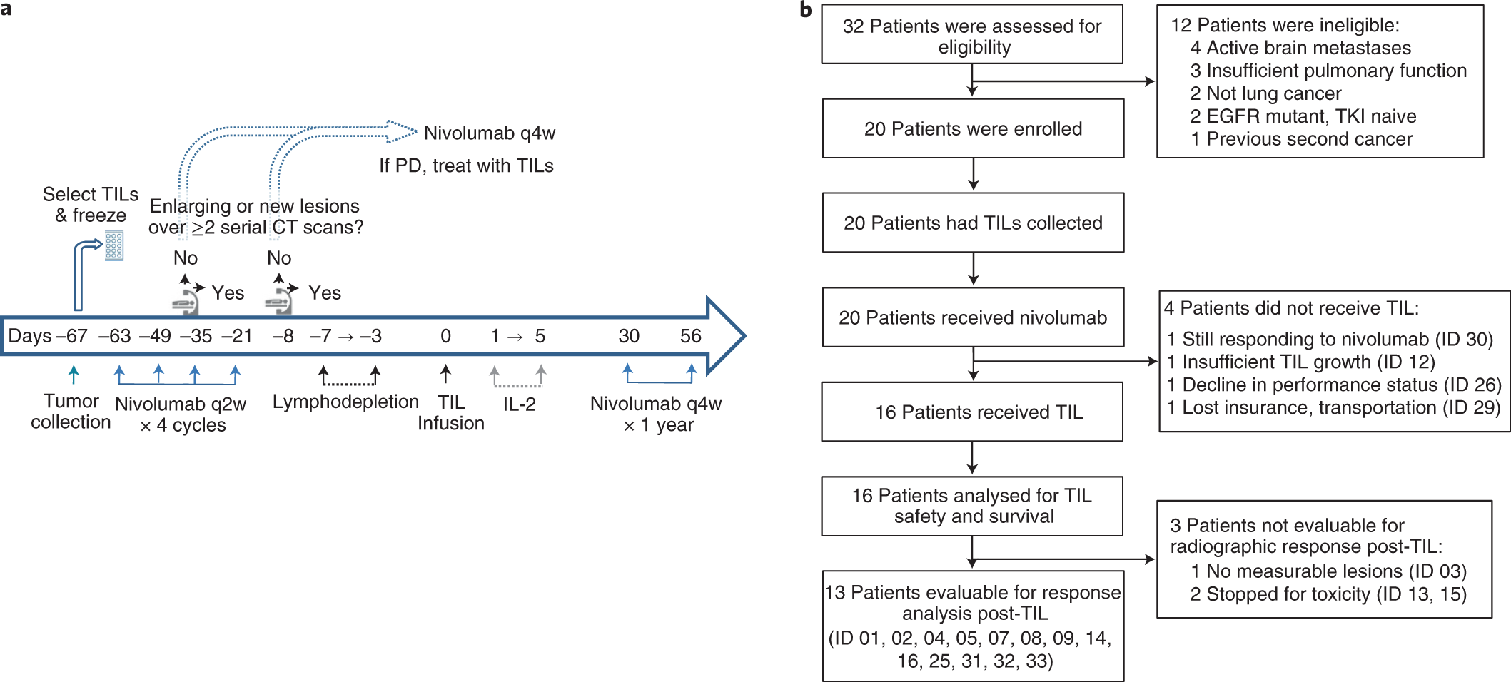 Tumor-infiltrating lymphocyte treatment for anti-PD-1-resistant metastatic  lung cancer: a phase 1 trial | Nature Medicine