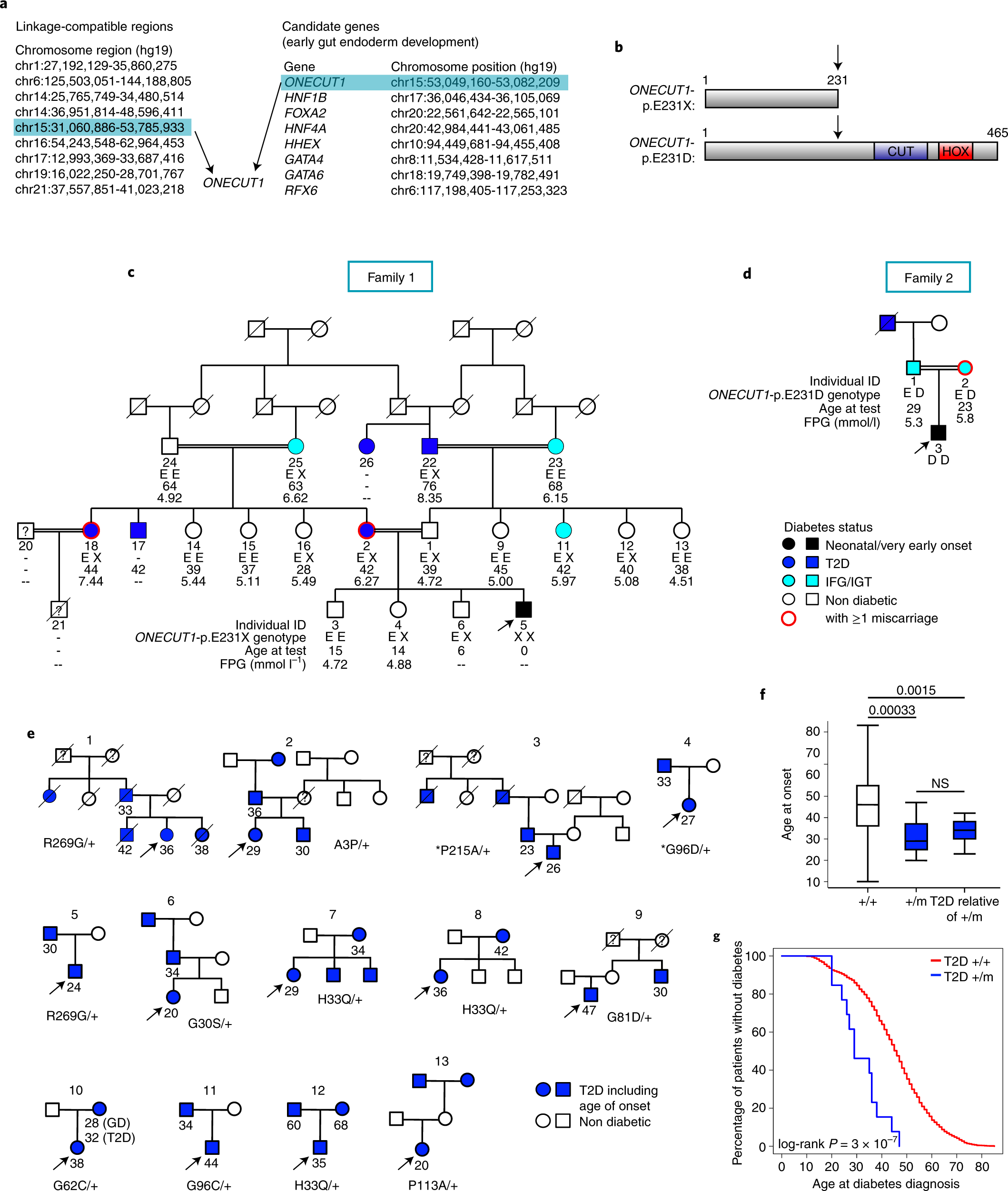 Mutations and variants of ONECUT1 in diabetes | Nature Medicine