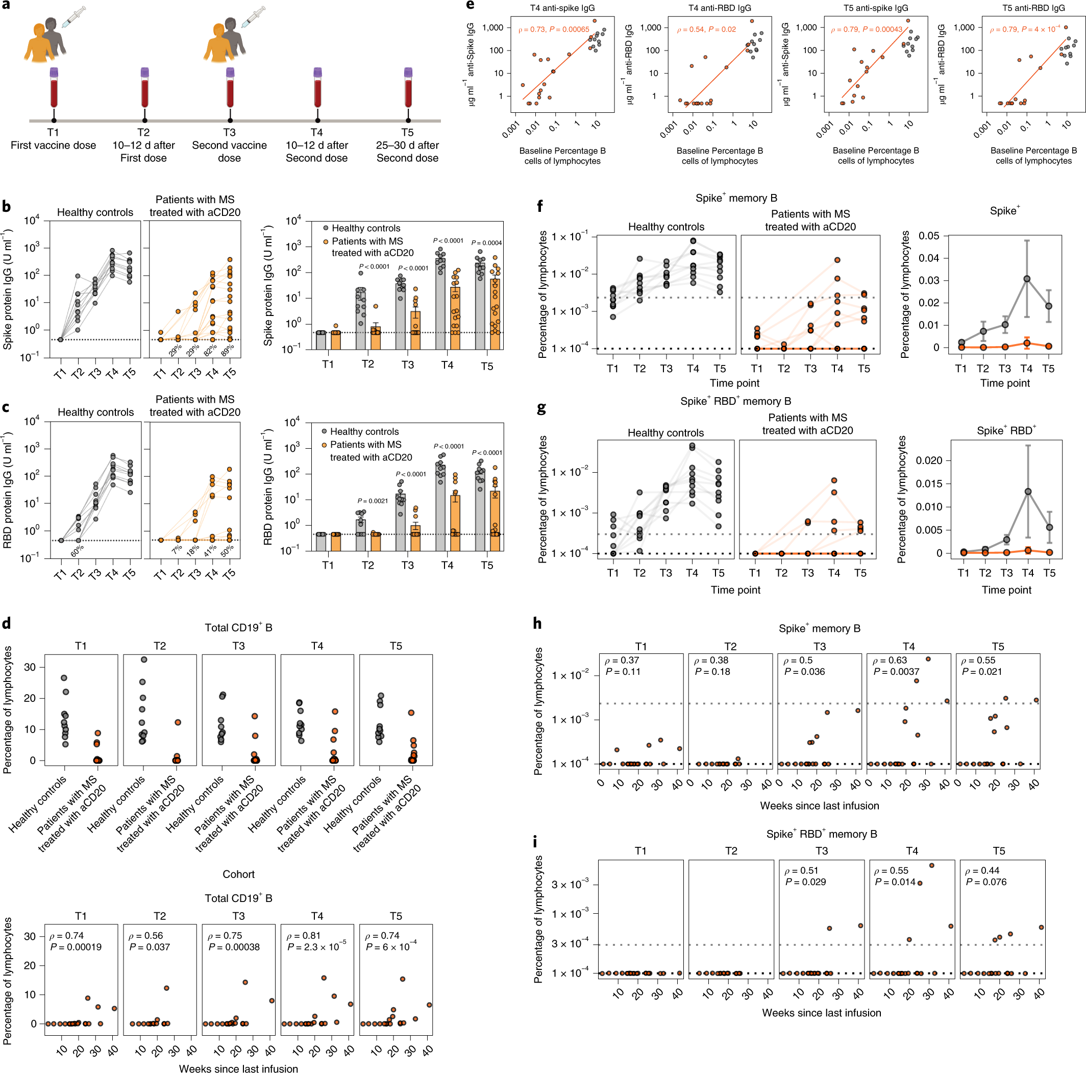 Impact of anti-CD20 monoclonal antibodies on serologic response to