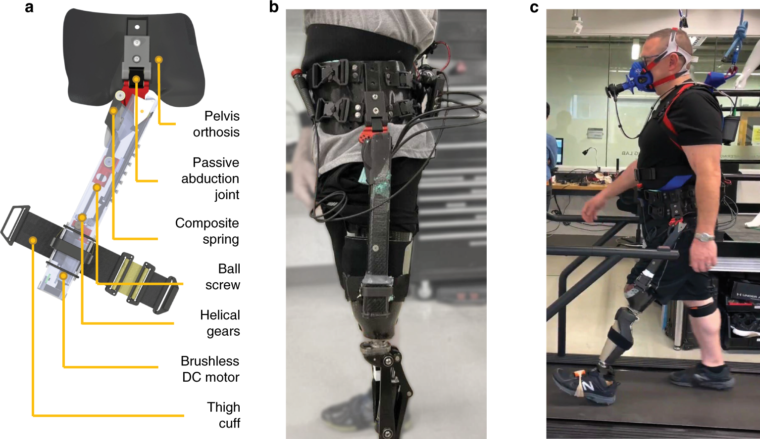 Powered hip exoskeleton improves walking economy in individuals with  above-knee amputation | Nature Medicine