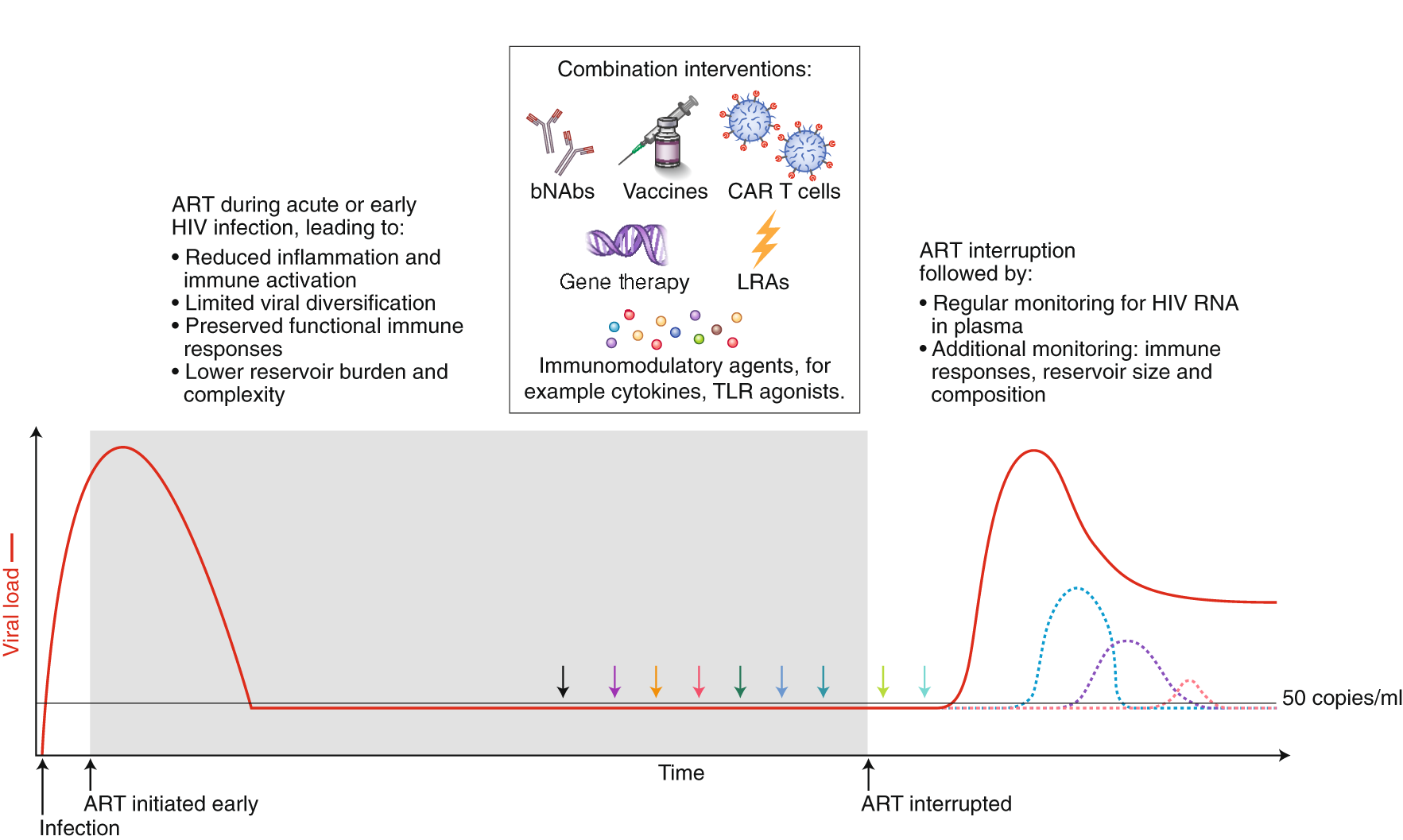 Fig. 3: Strategies for immunotherapy.
