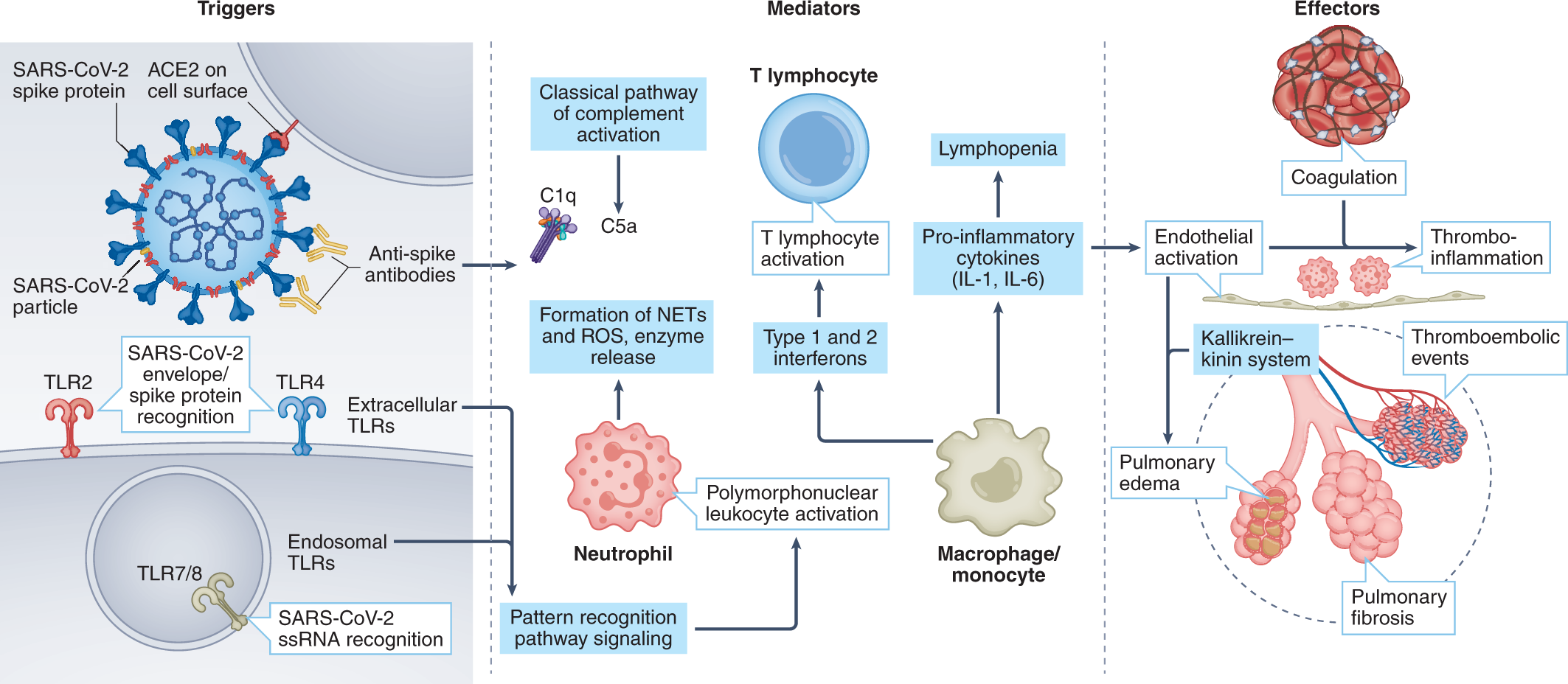 Thromboprophylaxis for children hospitalized with COVID‐19 and MIS