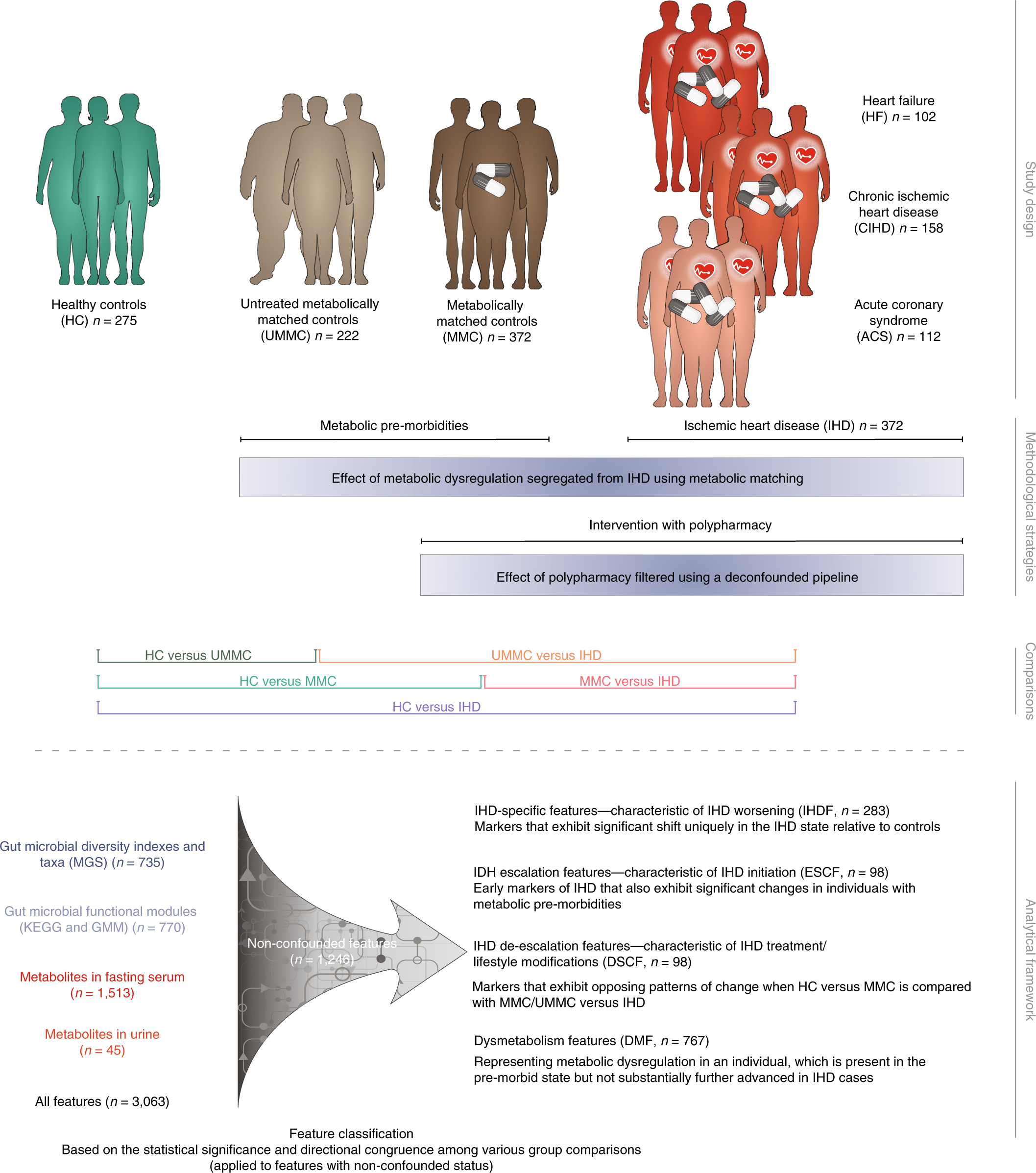 Microbiome and metabolome features of the cardiometabolic disease spectrum  | Nature Medicine