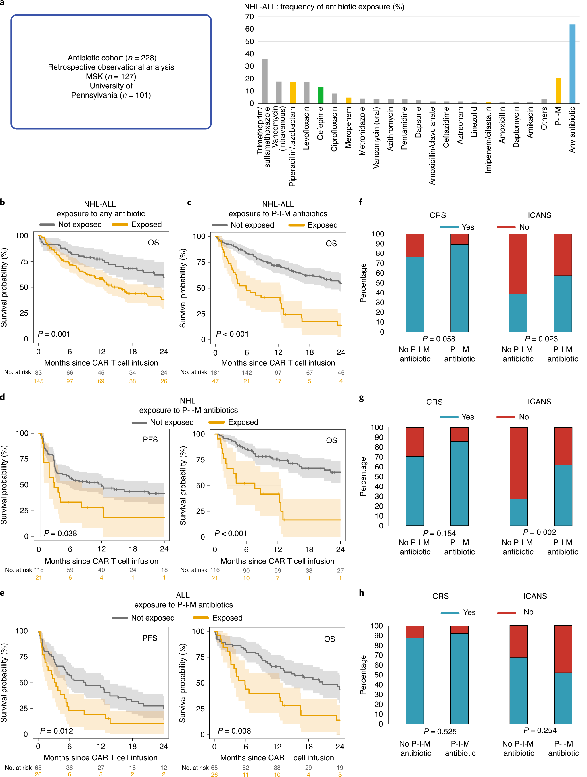 Gut microbiome correlates of response and toxicity following anti-CD19 CAR  T cell therapy