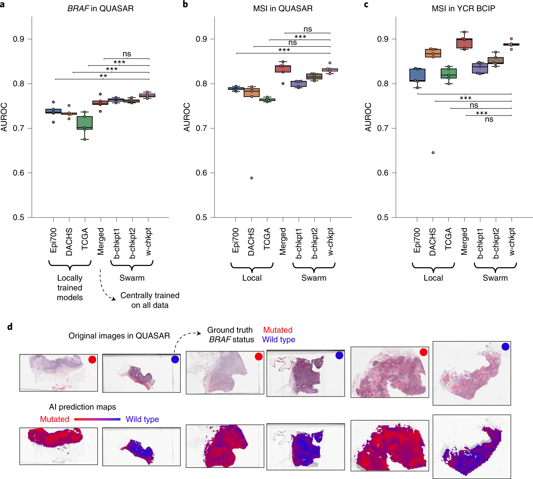 Fig. 2: AI-based prediction of molecular alterations by local, merged and swarm models.
