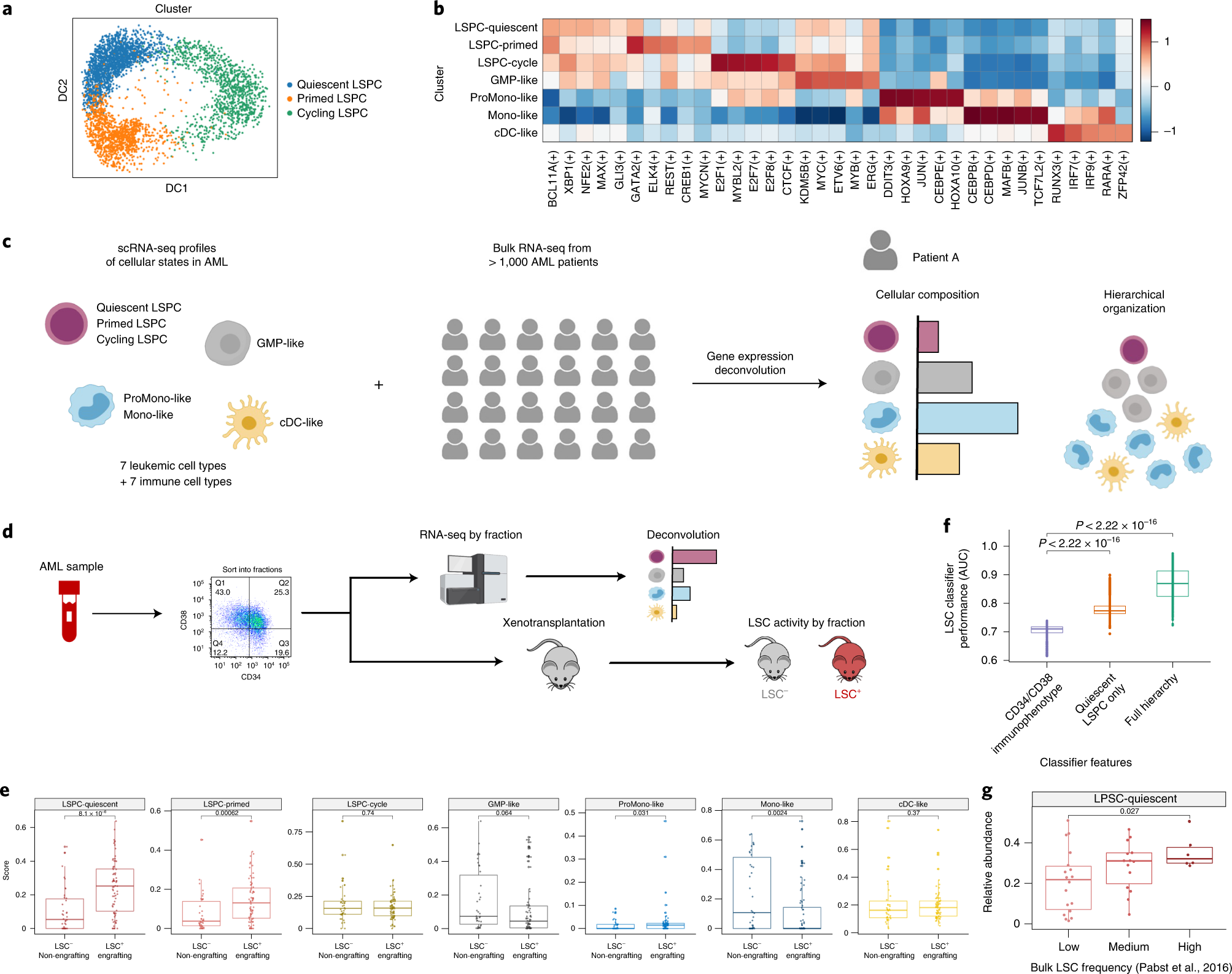 A cellular hierarchy framework for understanding heterogeneity and  predicting drug response in acute myeloid leukemia | Nature Medicine