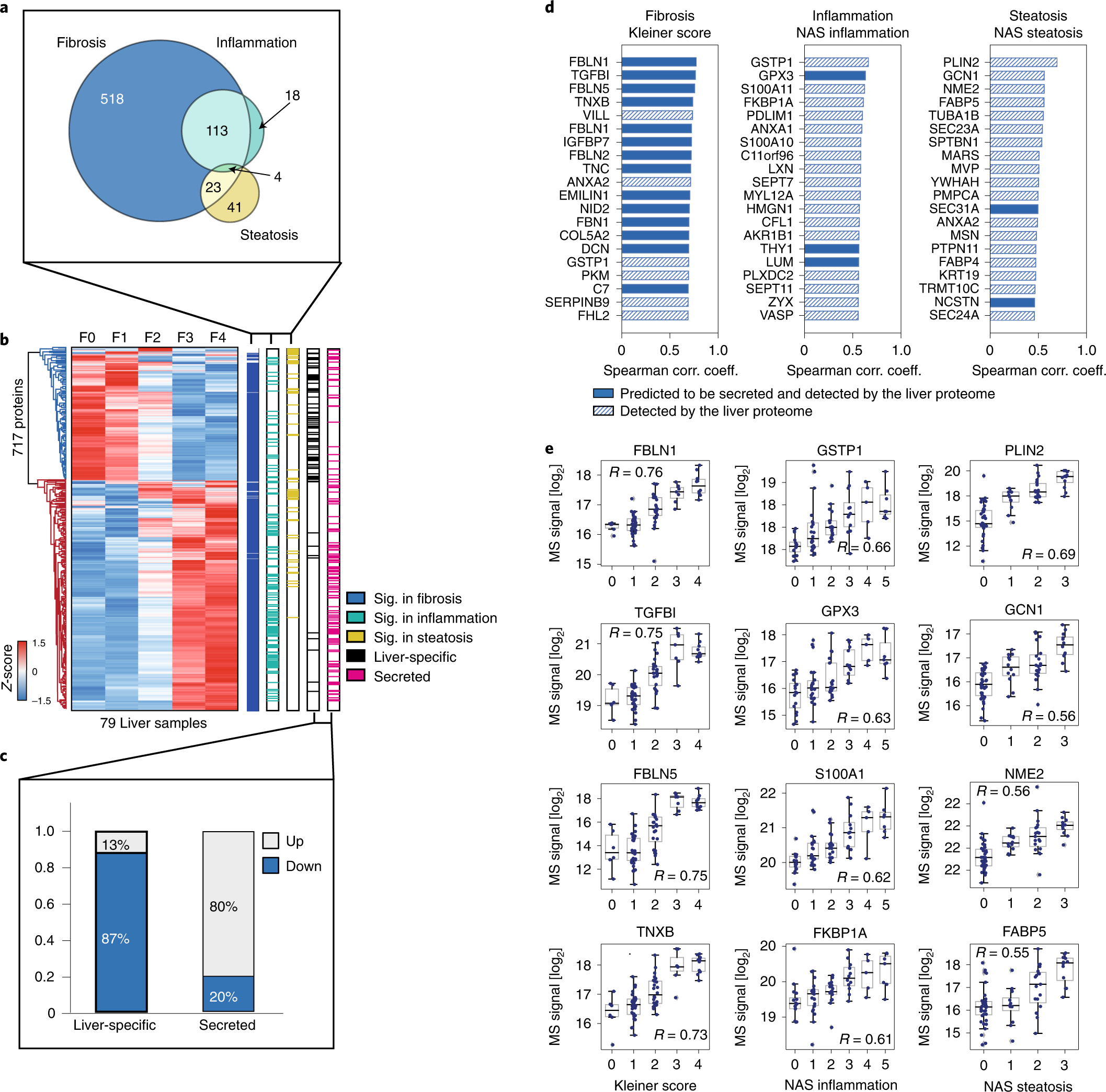 Fig. 2: Liver proteome remodeling due to hepatic lesions.