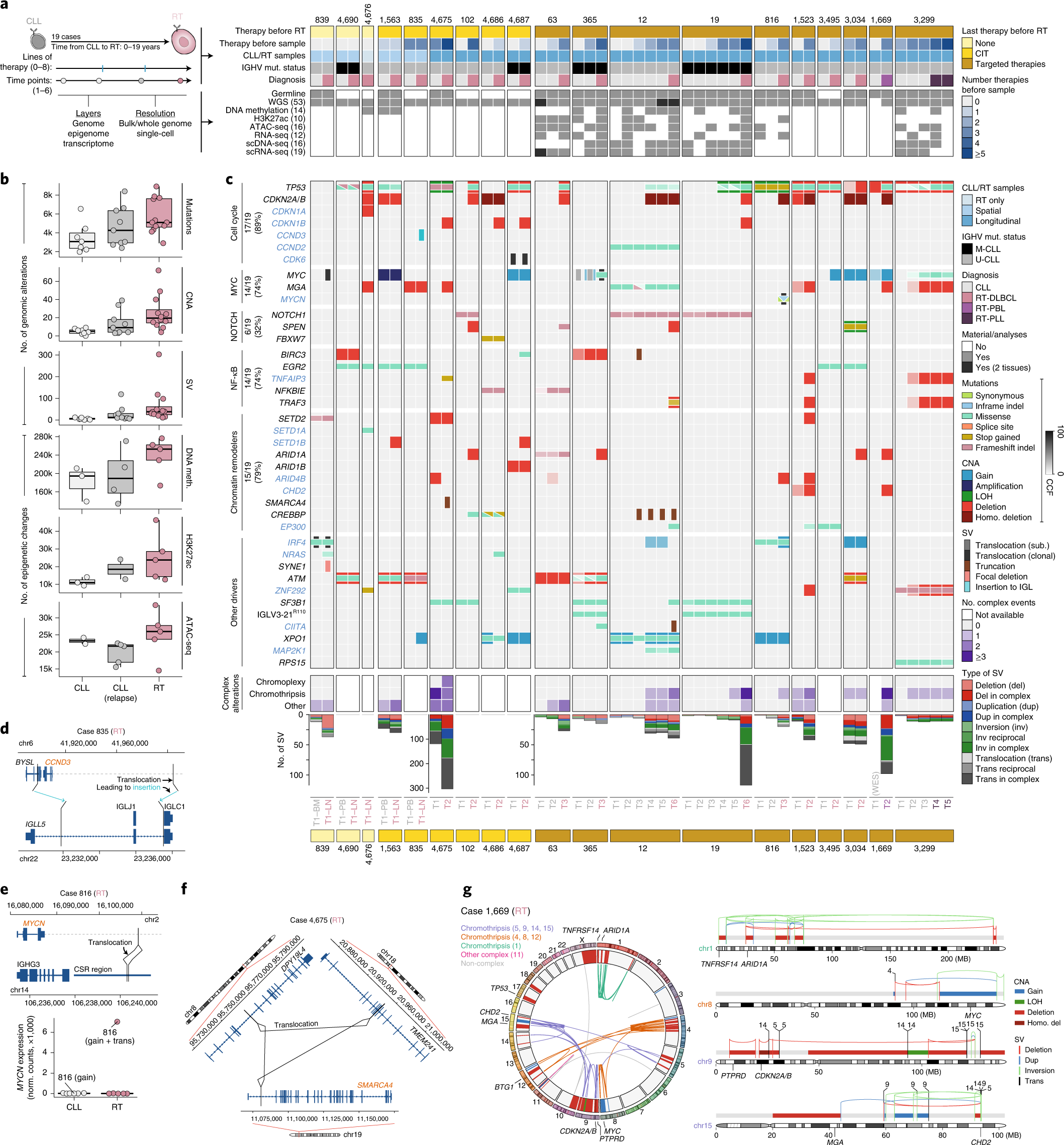Fig. 1: The genomic landscape of RT.