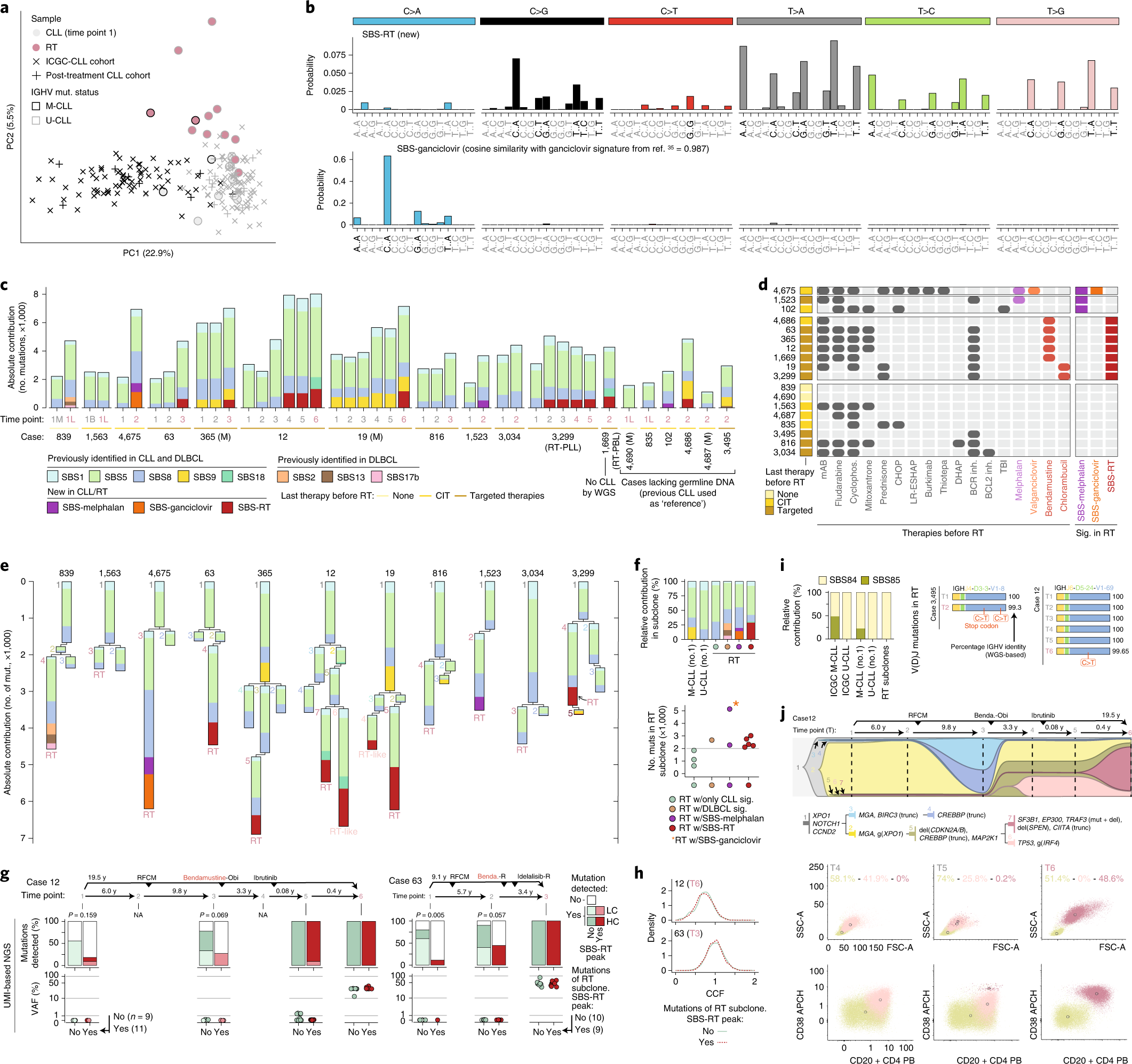 Fig. 2: Mutational processes in RT.