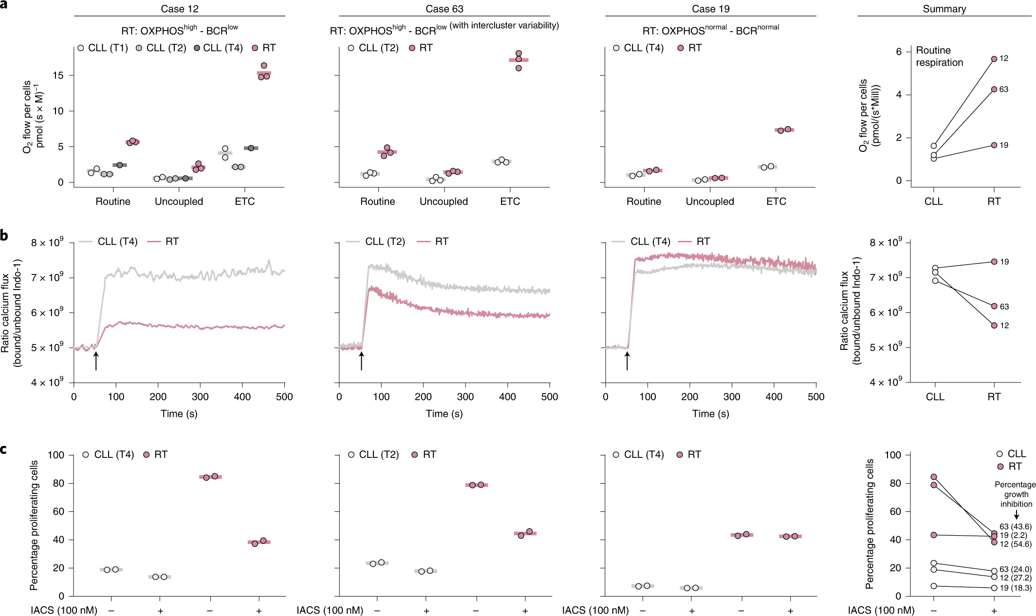 Fig. 5: Cellular respiration, BCR signaling and OXPHOS inhibition in RT cells.