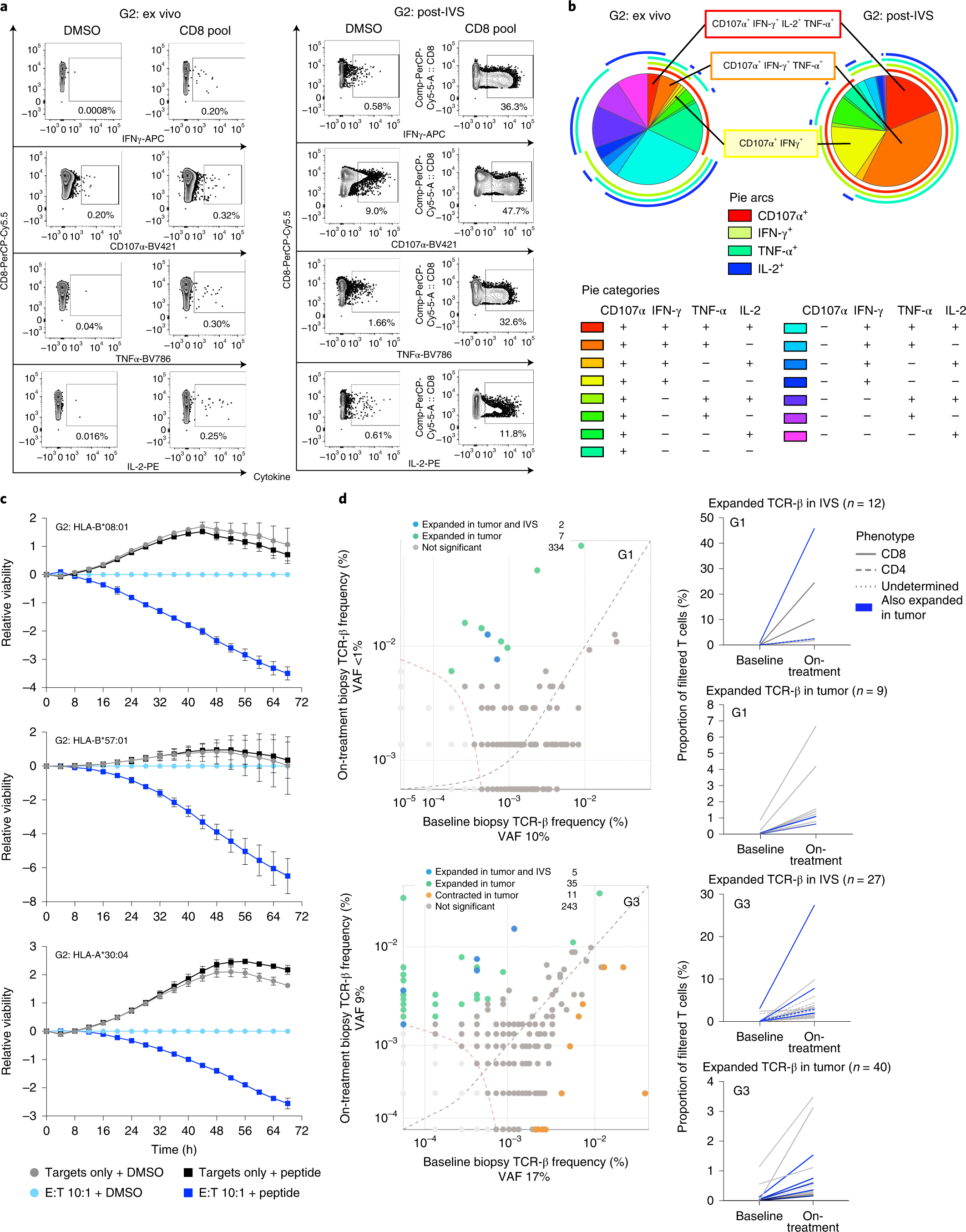Fig. 4: Neoantigen-reactive CD8 T cells are polyfunctional, kill targets presenting cognate peptides in multiple HLA alleles and are increased in on-treatment tumor samples.