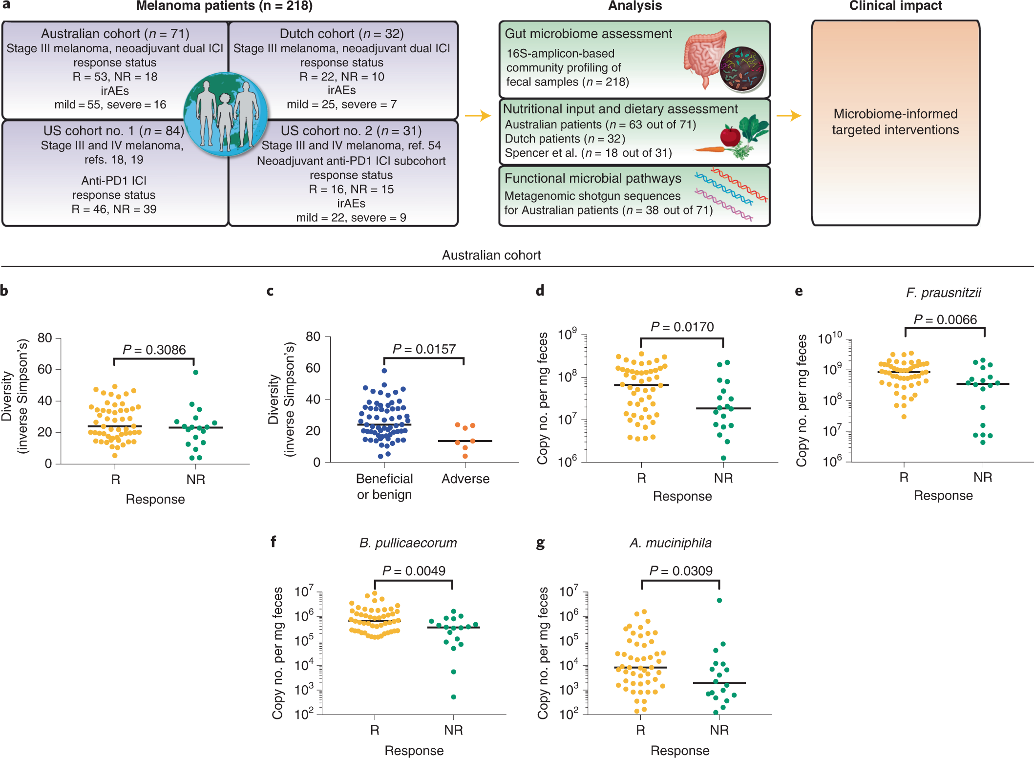 Diet-driven microbial ecology underpins associations between cancer  immunotherapy outcomes and the gut microbiome | Nature Medicine