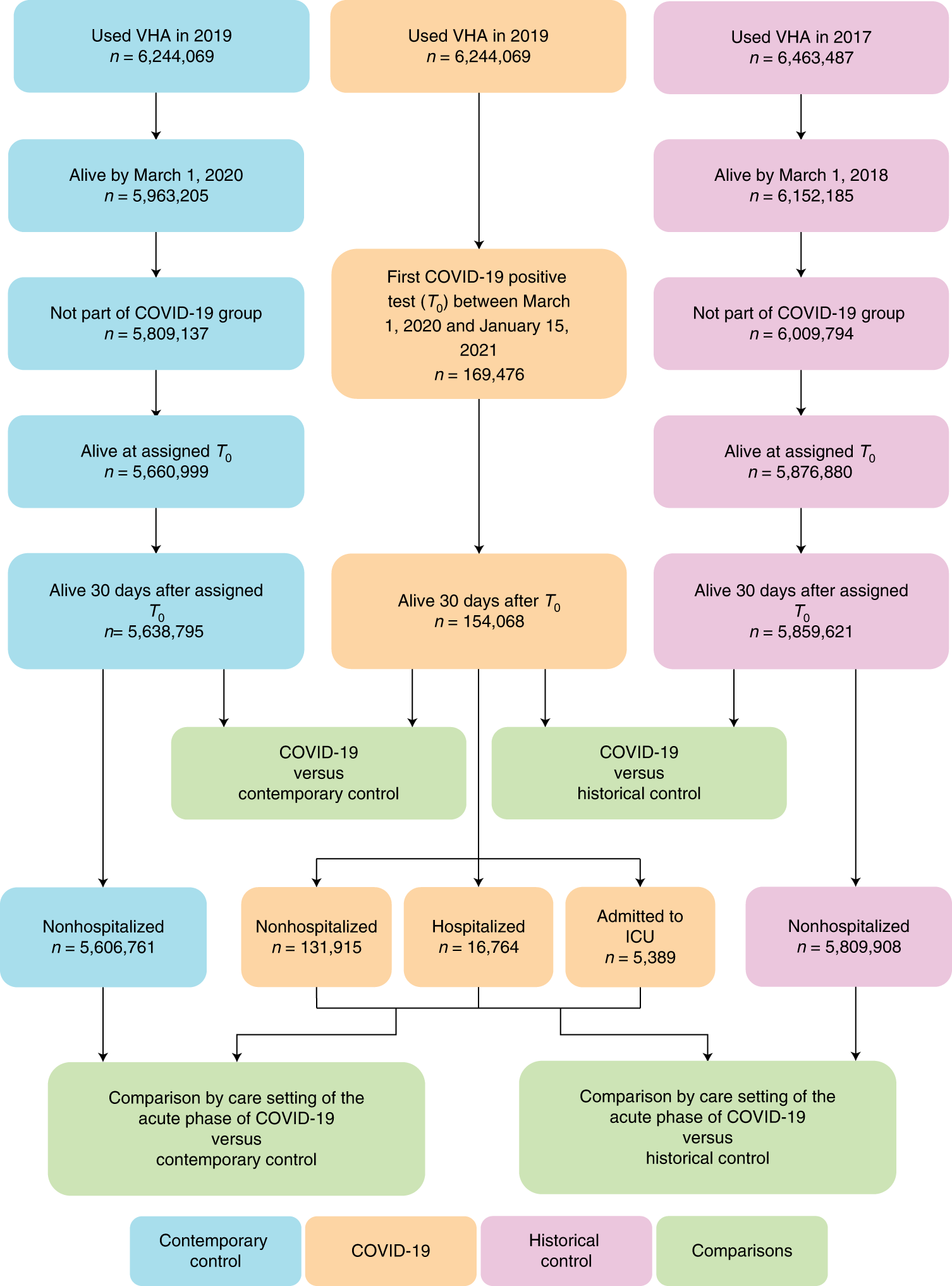 Incidence of Epilepsy and Seizures Over the First 6 Months After a COVID-19  Diagnosis