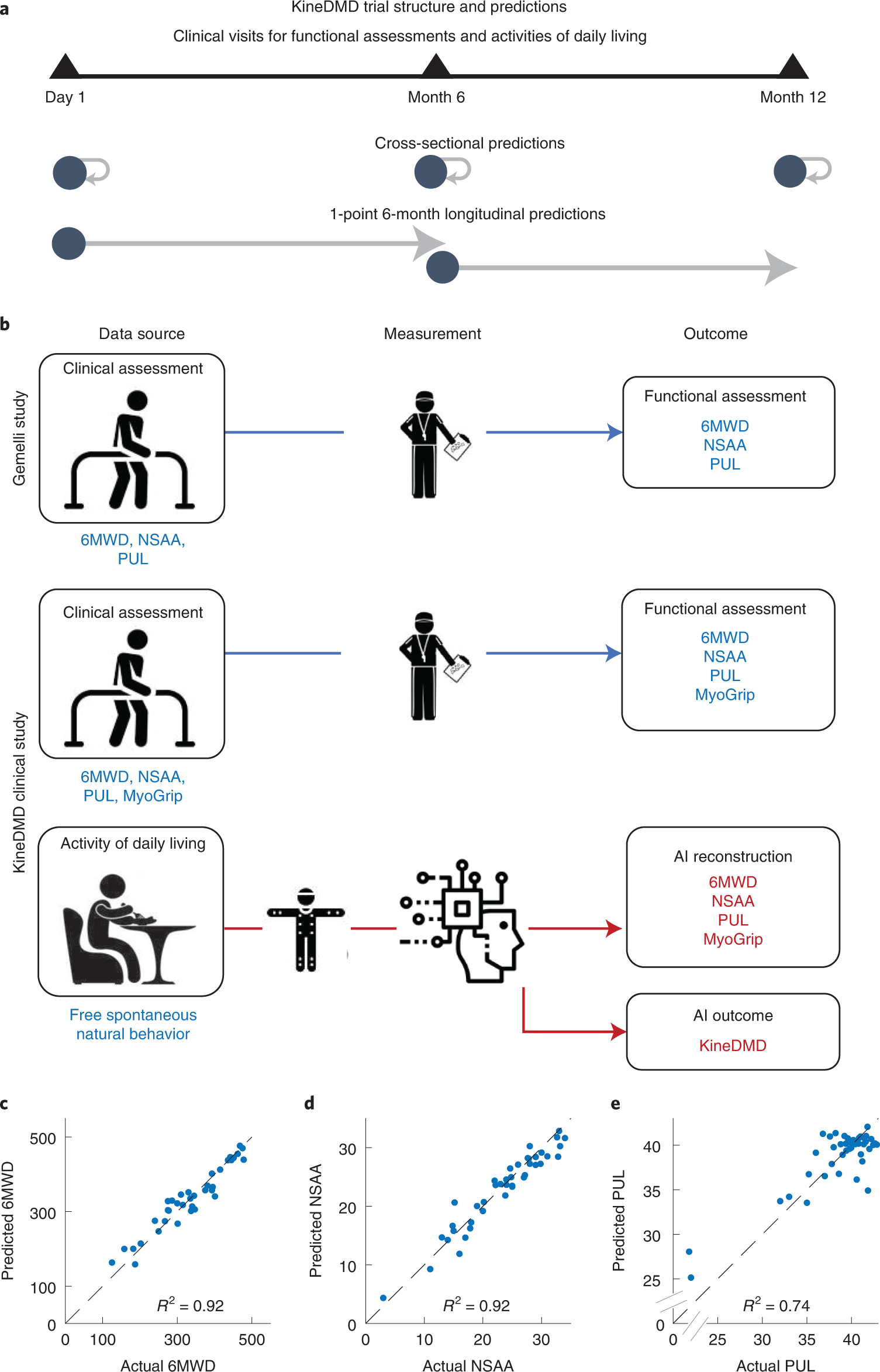 Fig. 3: KineDMD trial structure and cross-sectional predictions.