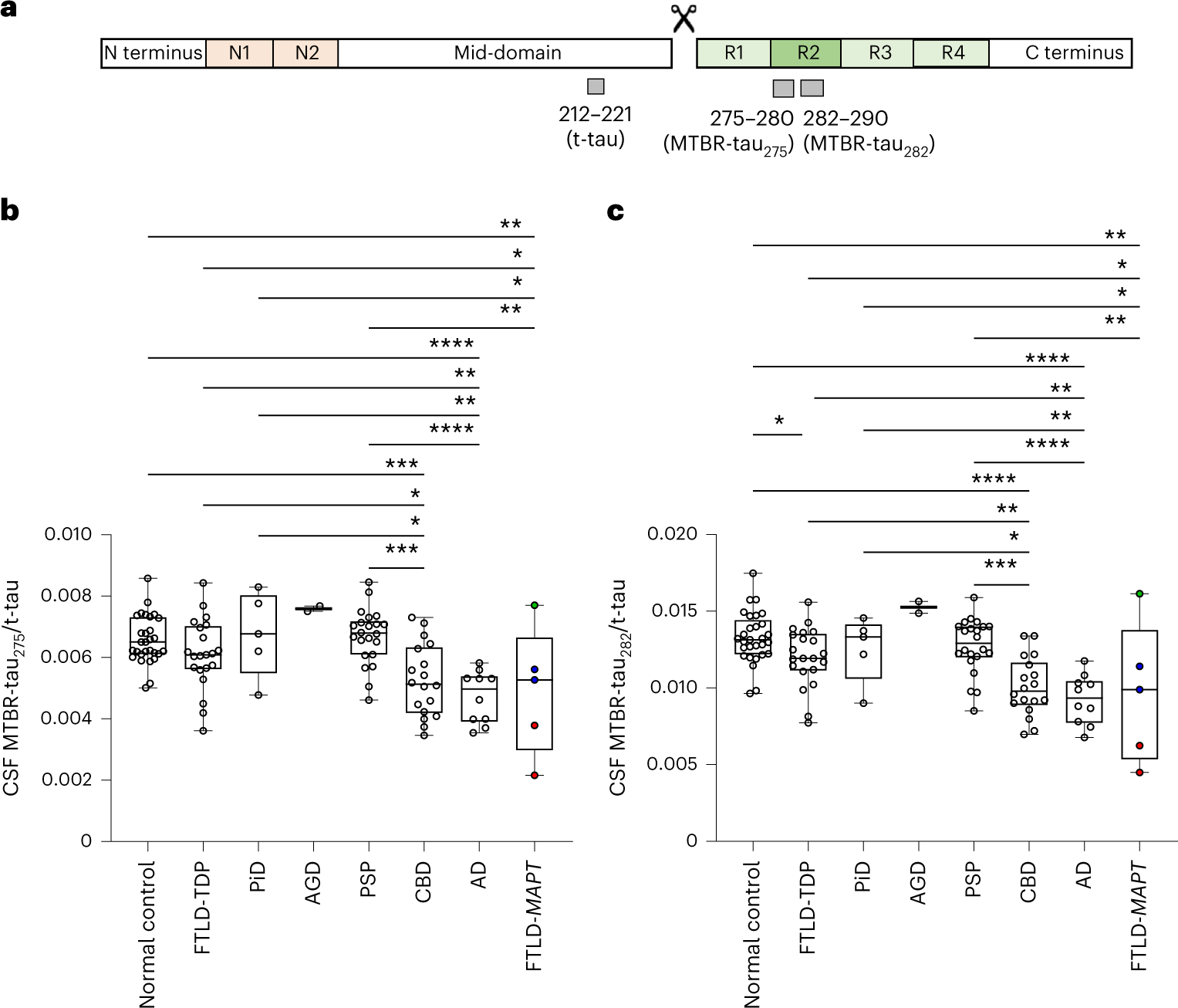 Fig. 2: 4R-specific CSF MTBR-tau decreases in CBD, FTLD-MAPT and AD.
